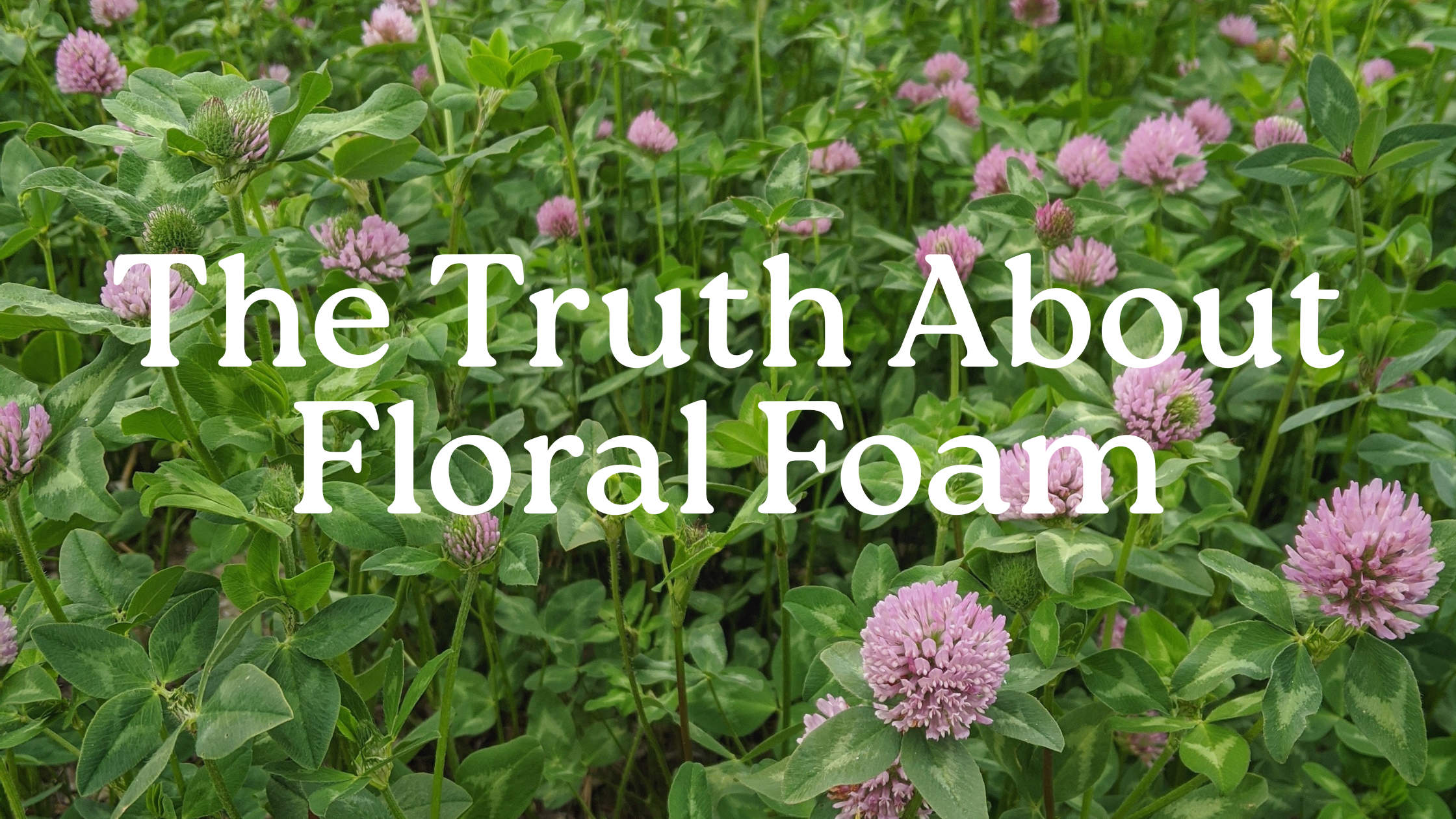 Here’s What you Need to Know About Floral Foam - And What you Can Use Instead.