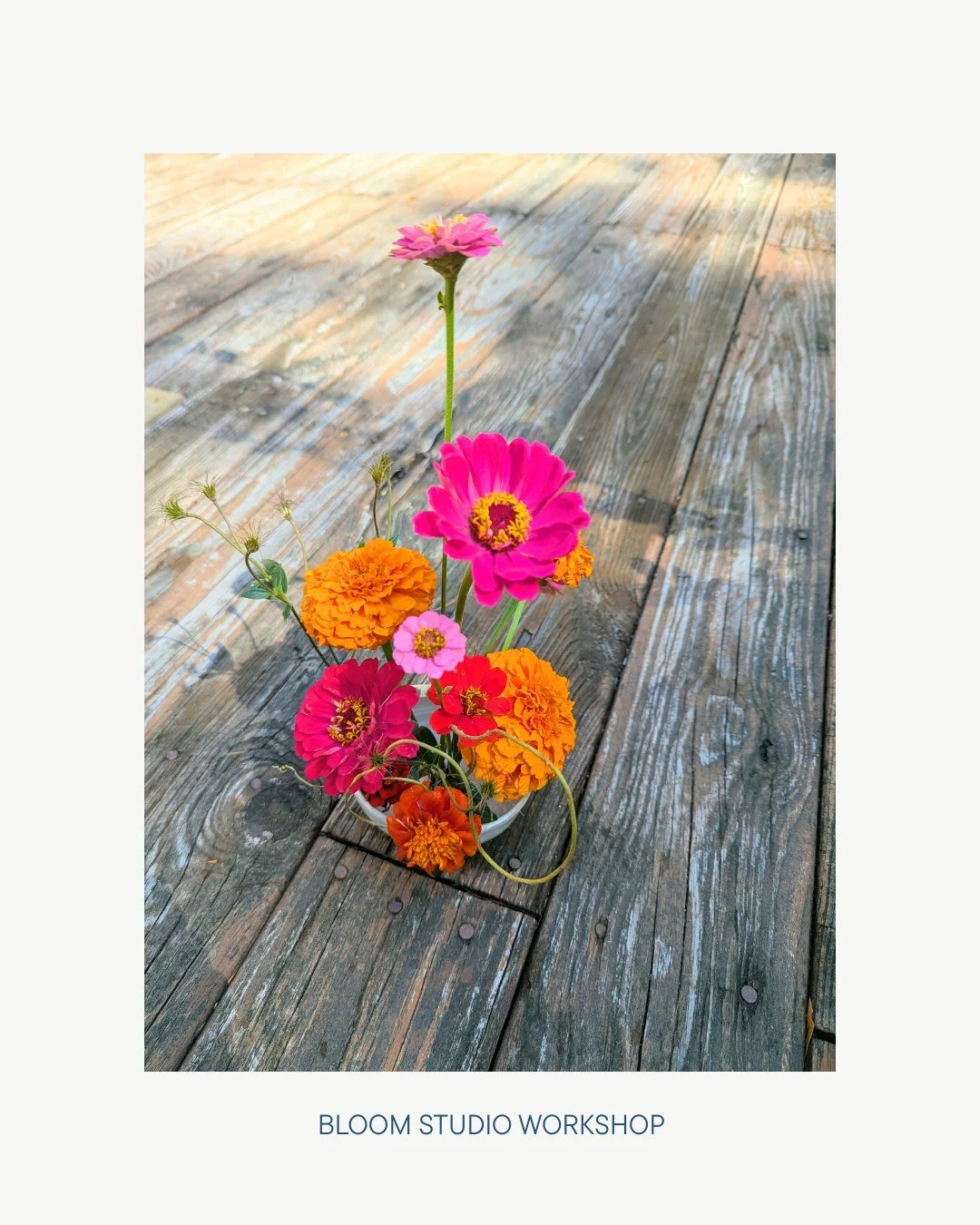 A backyard cutie-patootie to remind you that there's still a lot of summer to be had!! Also, here are some exciting BSW updates:

🌼  Dried wreaths launch in SEPTEMBER! They'll be available for local delivery (link in bio for details on this!)
🌷  My