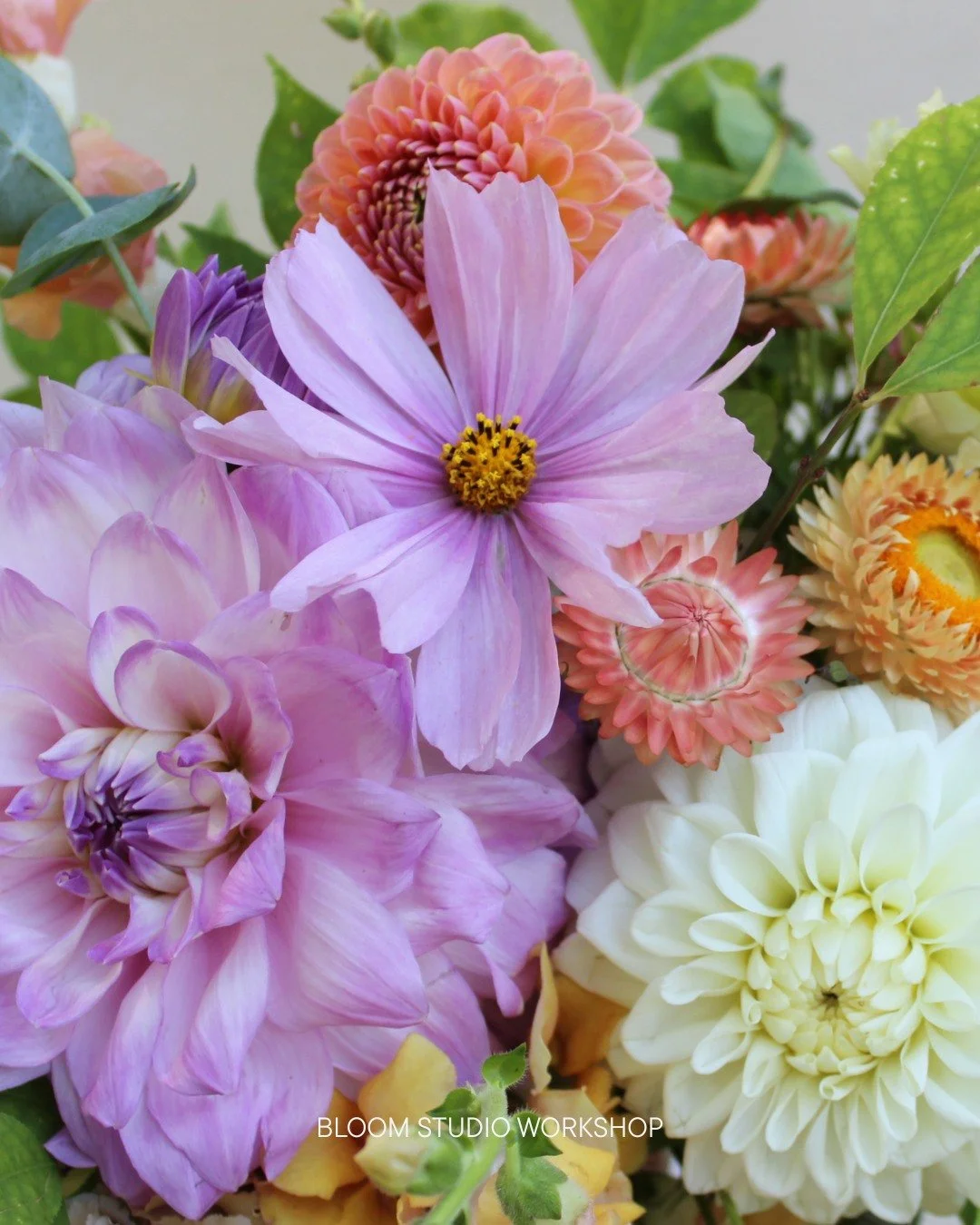 "This season's flowers are my favorite flowers!" - me, every season.