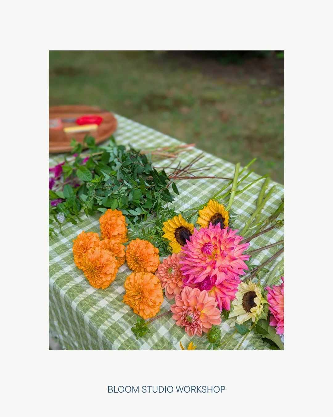 🚨 🌷 ICYMI!! 🌷 🚨 

'Getting Started with Floral Design: A Guide to Flowers for Any Occasion' is now available!!

It's beautiful, it's comprehensive, it's beginner-friendly, and it's everything you need to get started!! 

You can find it via the li