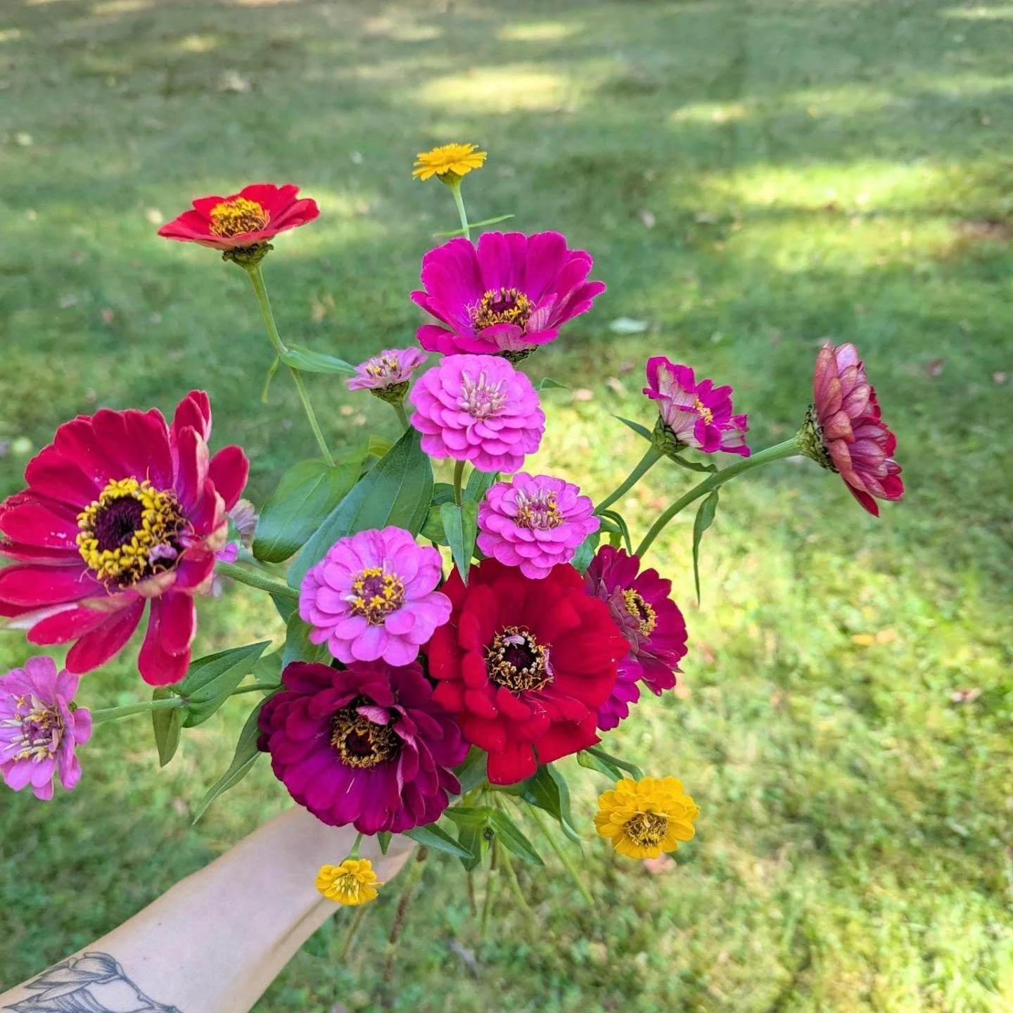 Just a handful of October brights I cut yesterday 💐 and also while I'm here...

-'Getting Started with Floral Design' launched last week and email subscribers get a little discount - go sign up today and I'll send it your way 💌

-I still have some 