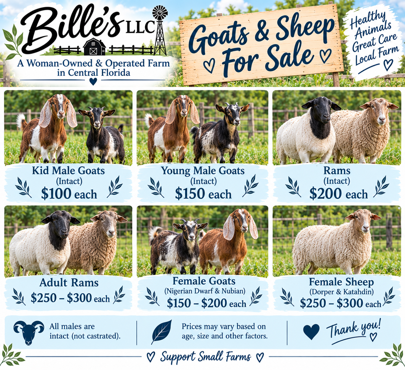 🐐🐑 Goats & Sheep for Sale