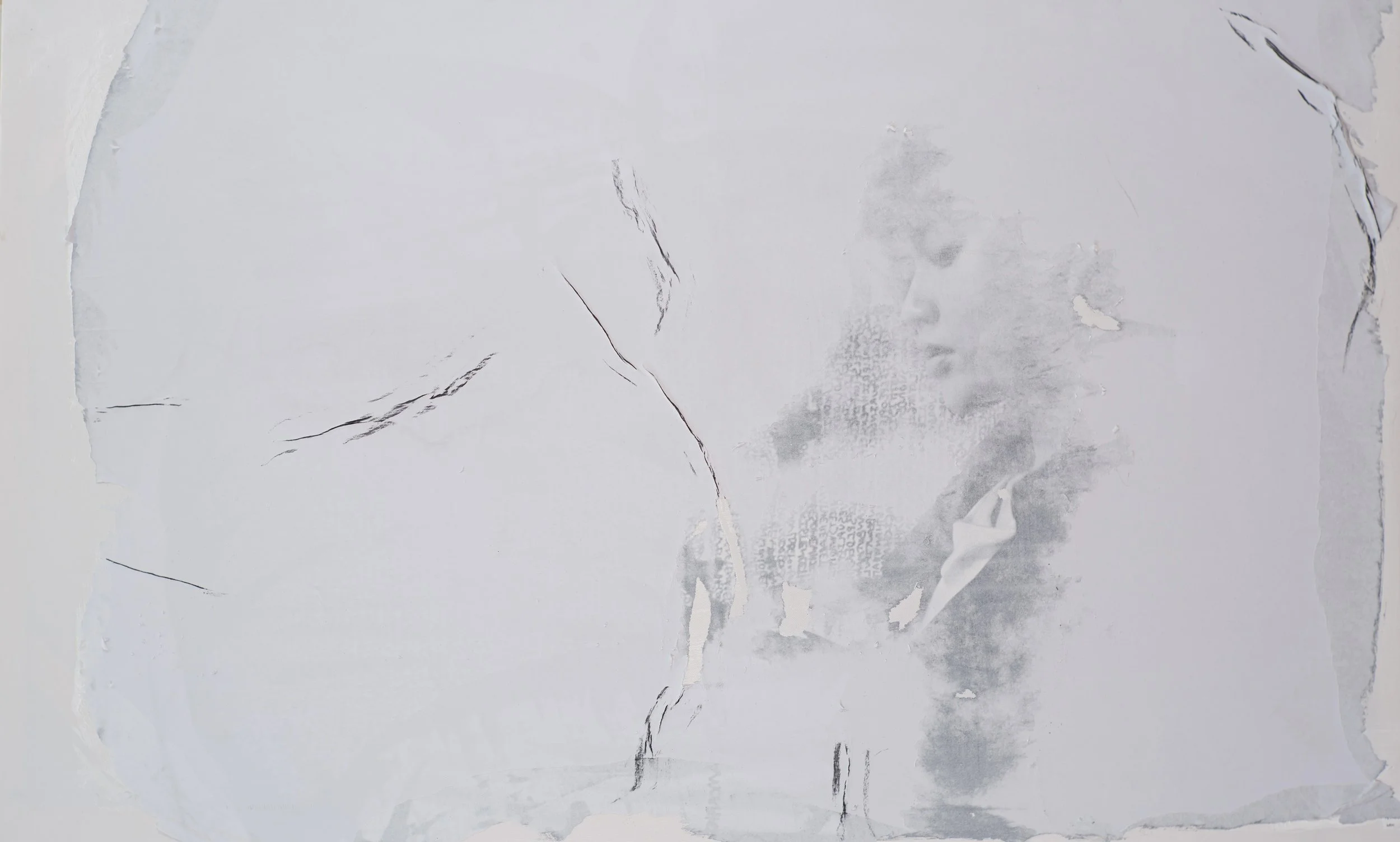 Vi Binh 05, 2024, Photographic transfer on paper - 120 x 80 x 2 cm