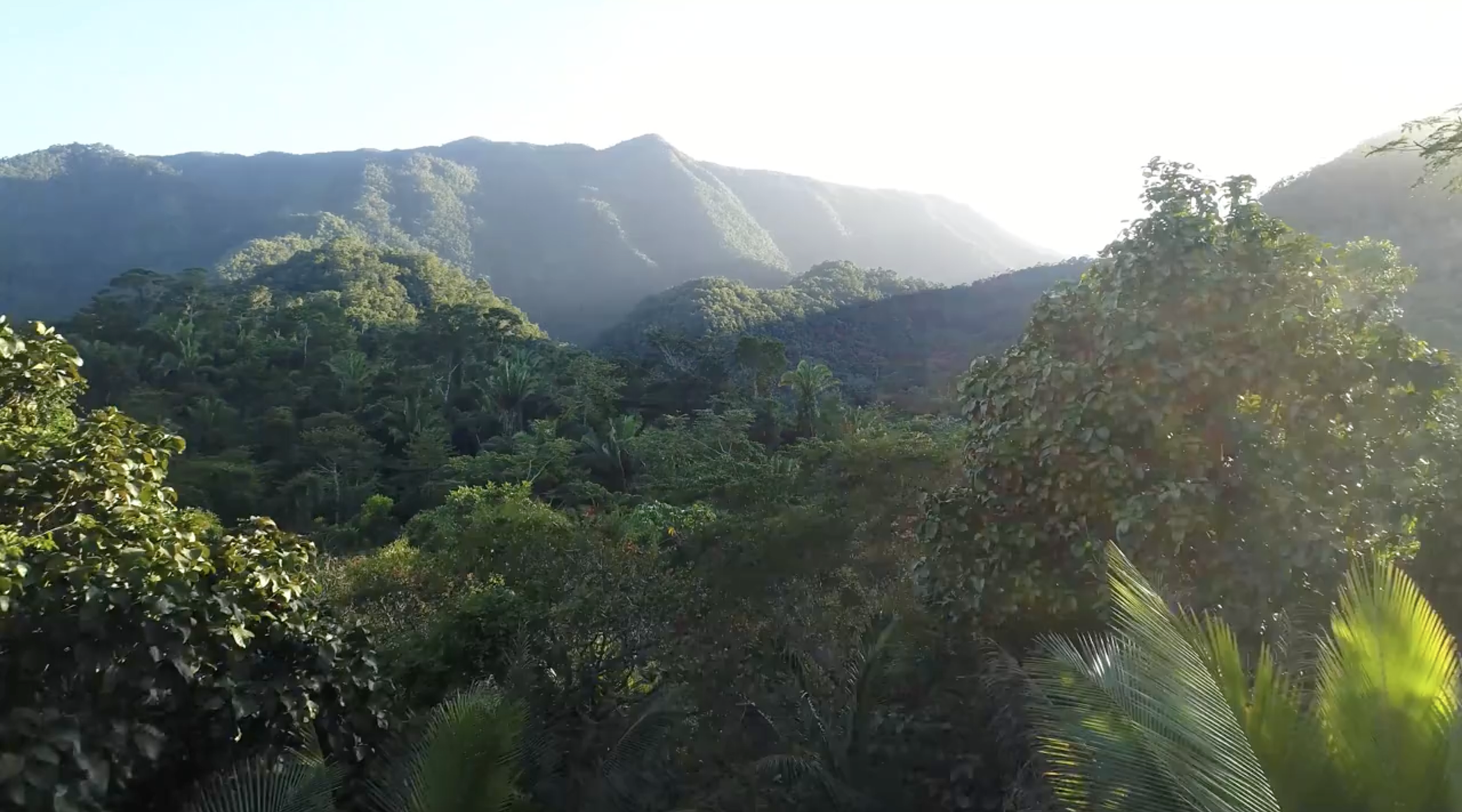 Giselle Carr Website Hero Background.png