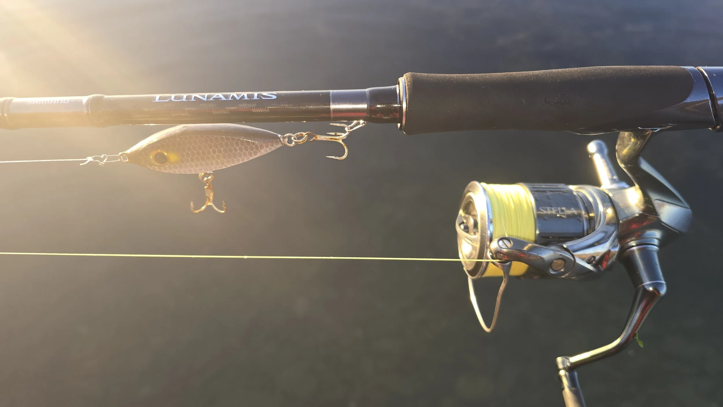 Last Cast Magic - Dawn Bass on the Reef