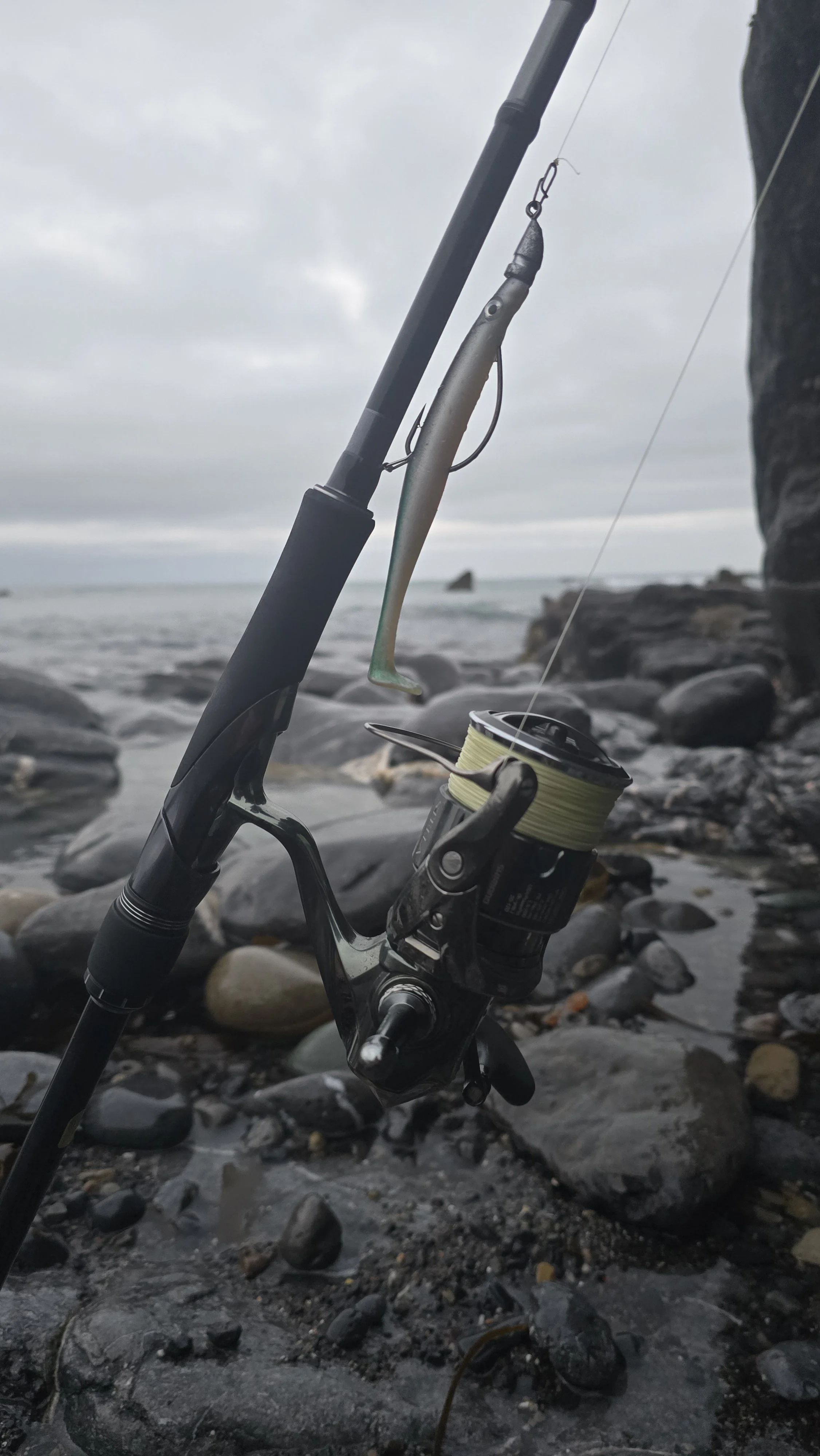 Shimano Lunamis_Shimano Stella_PirateLures Teaser rokcy fishing mark in wexford ireland.jpg