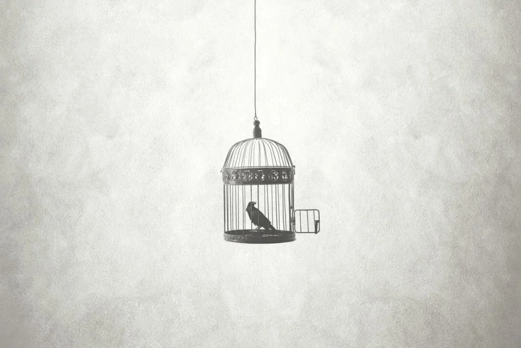 A bird inside a hanging birdcage.