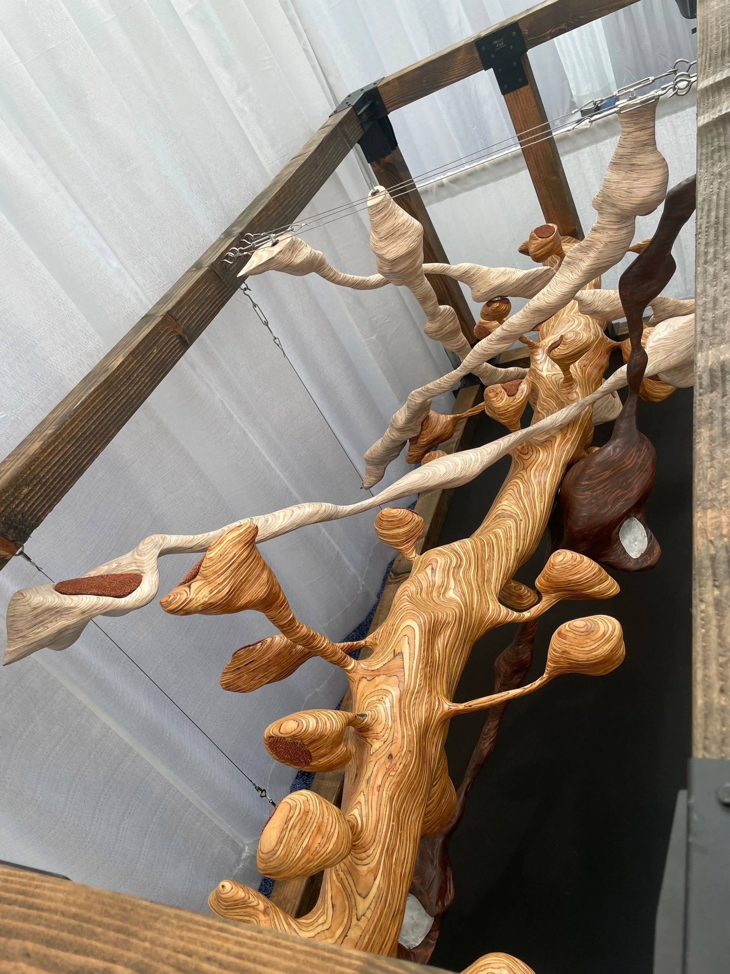 On display at SfN2025 in San Diego