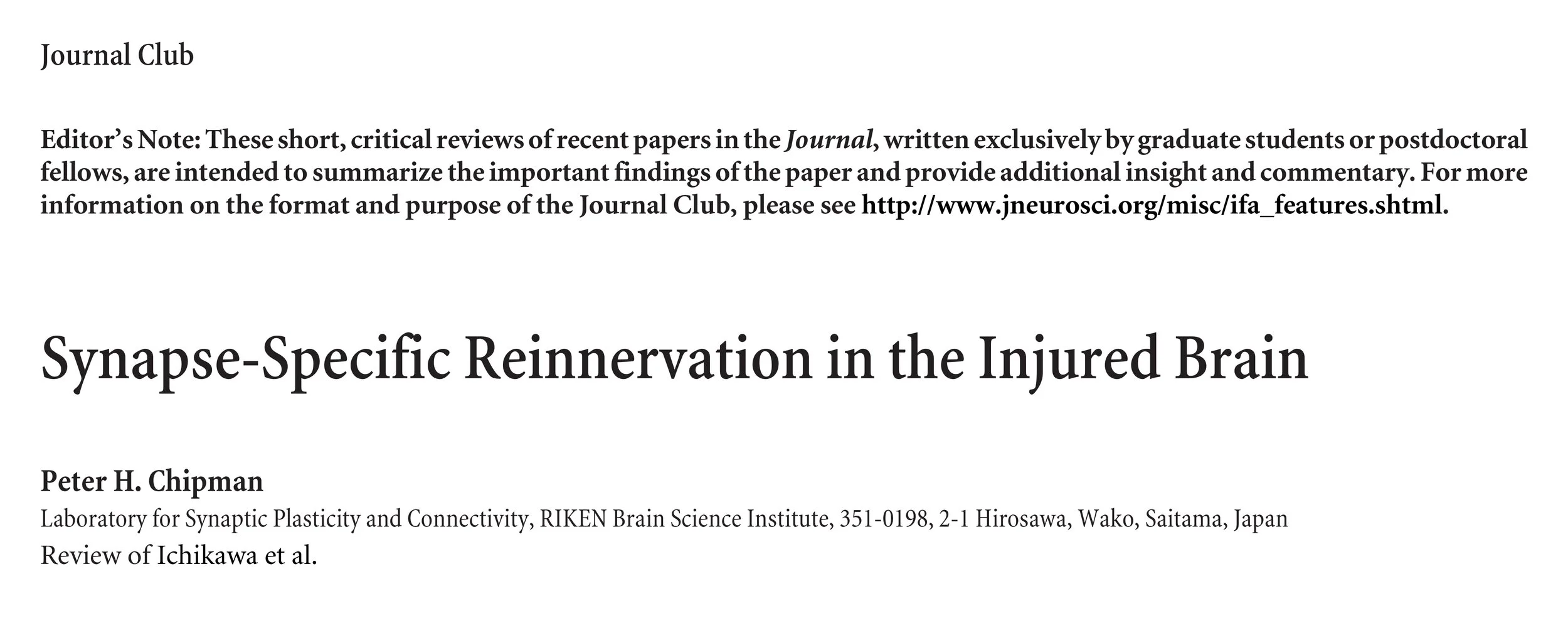 Synapse-specific reinnervation in the injured brain