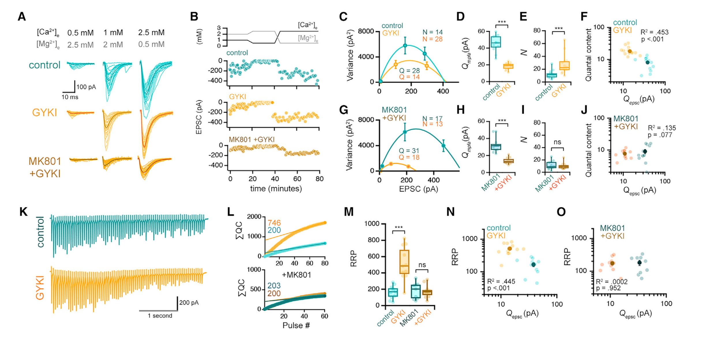 NMDAR-dependent presynaptic homeostasis in adult hippocampus: Synapse growth and cross-modal inhibitory plasticity