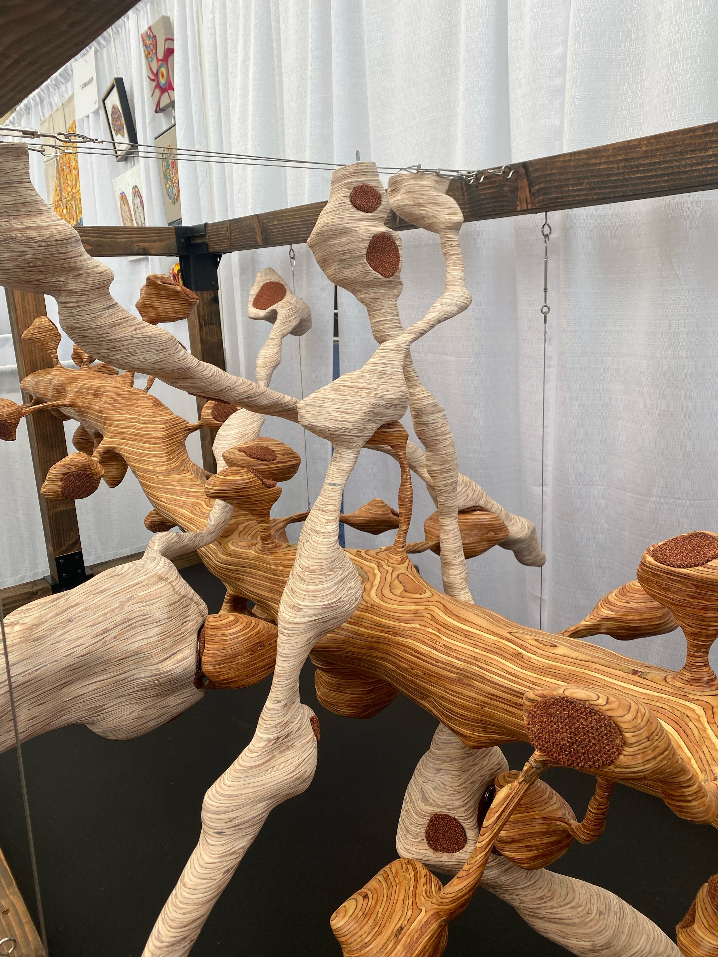 On display at SfN2025