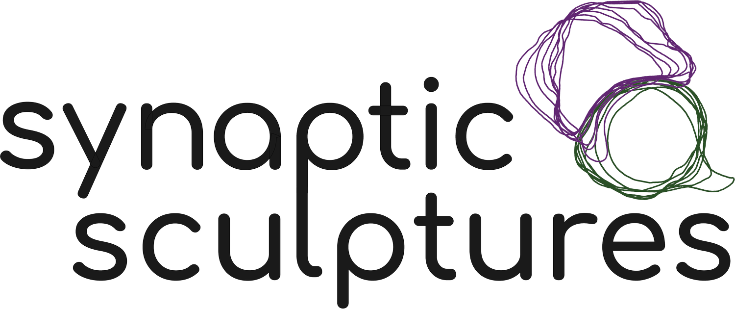 Synaptic Sculptures