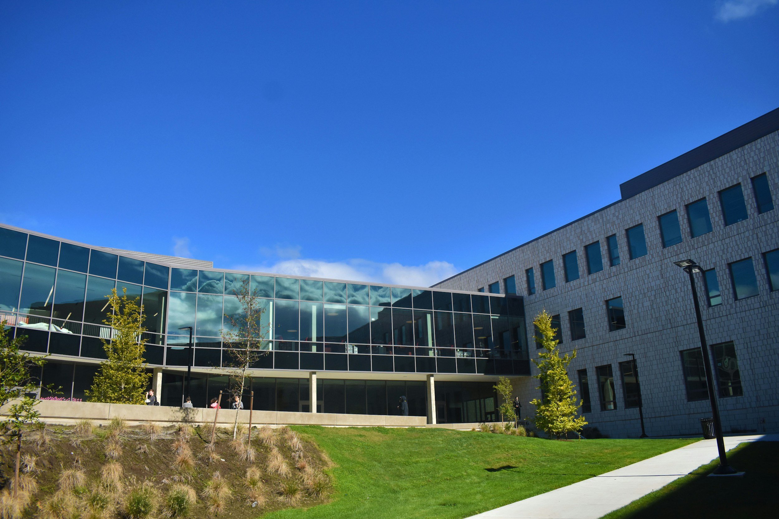 Modern building with a large glass window wall reflecting clouds, surrounded by green grass, young trees, and walkway.