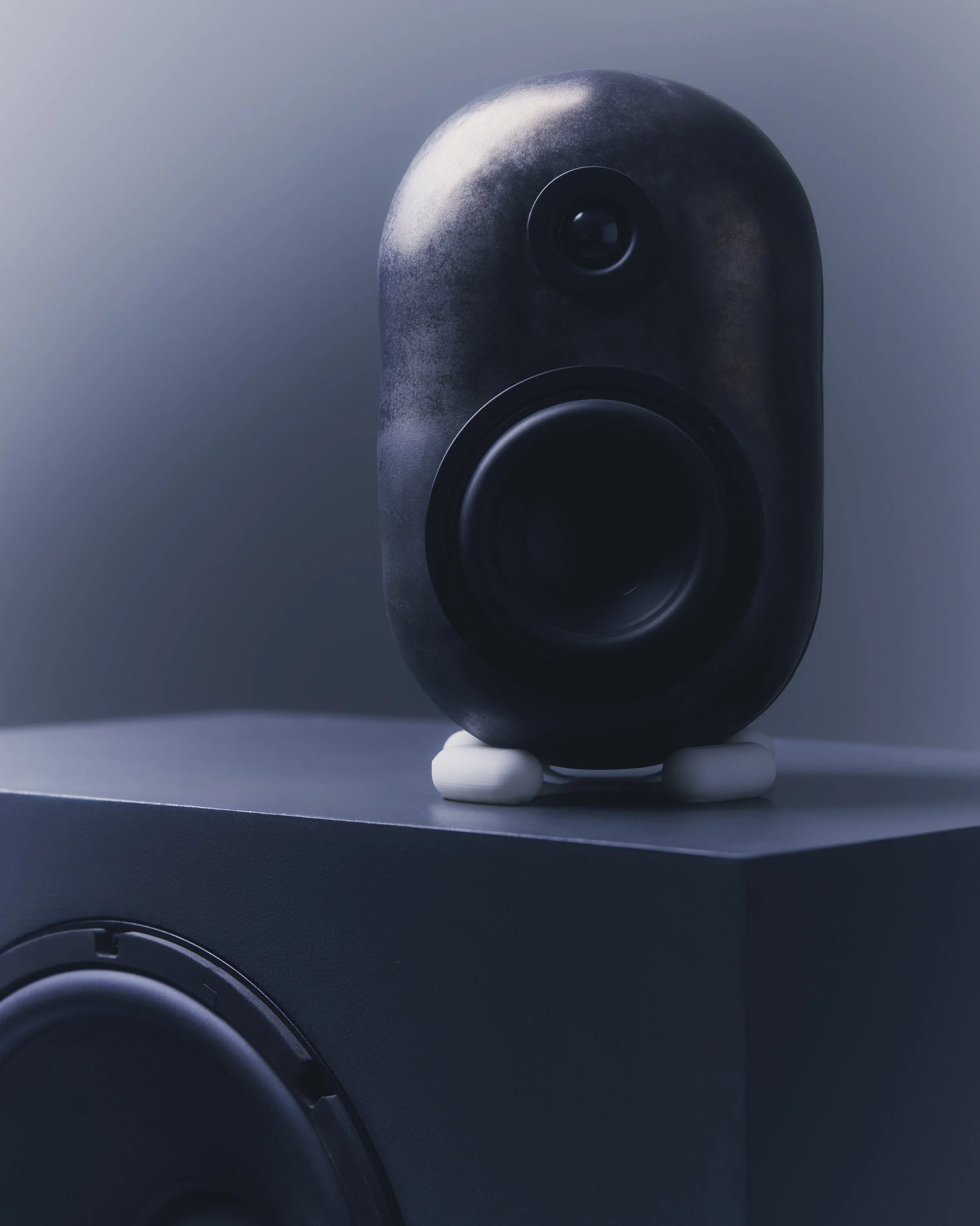 20250323_MYCO_AUDIO42883.jpg