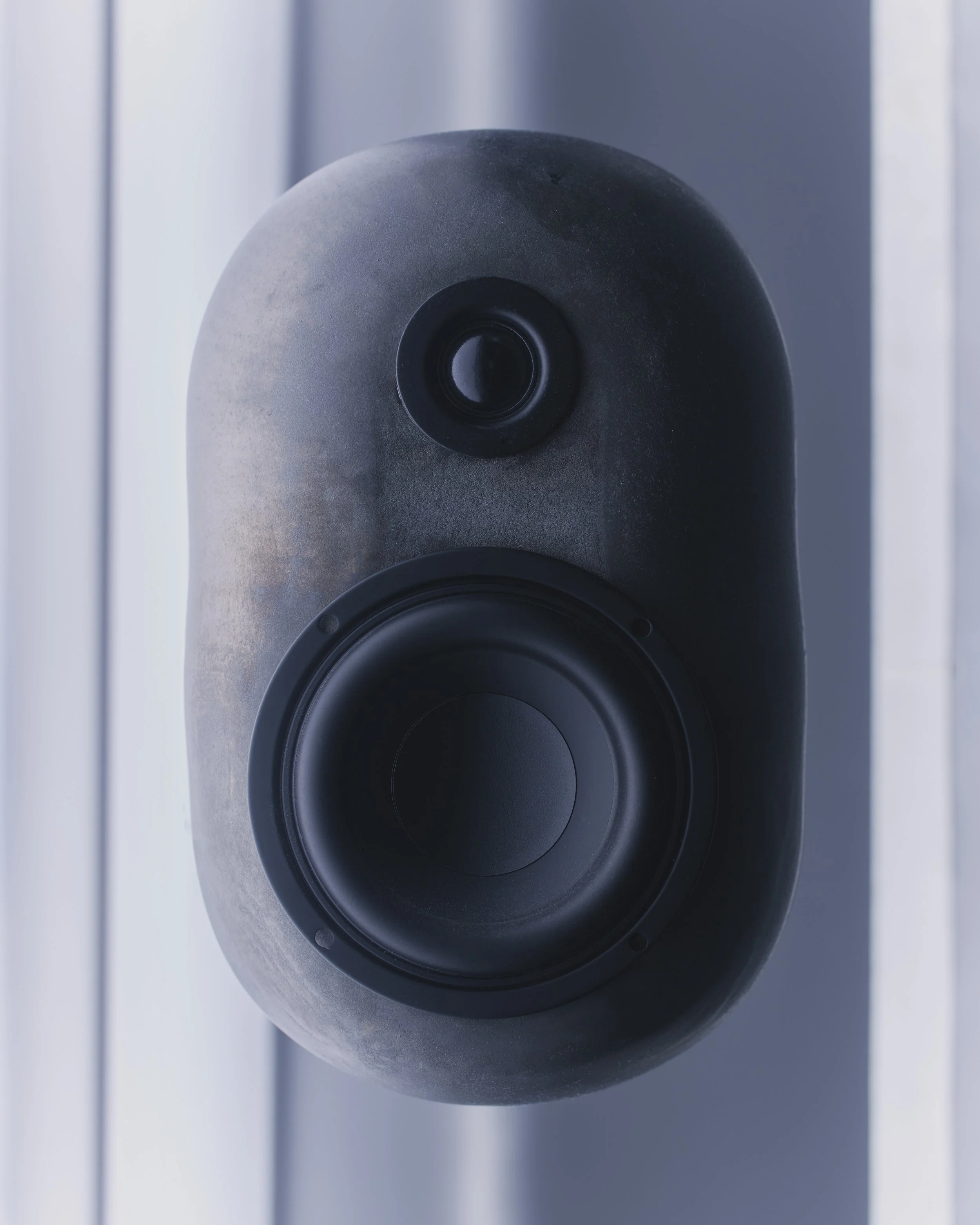 20250323_MYCO_AUDIO42563.jpg