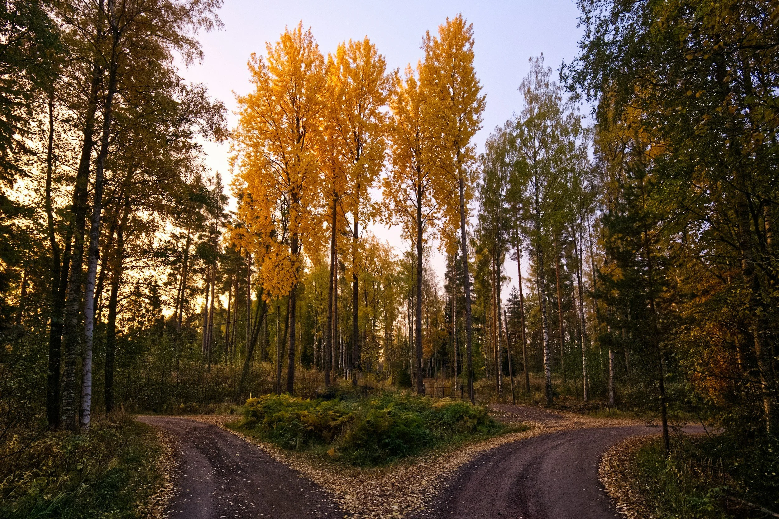 Using Intuition to Move Forward