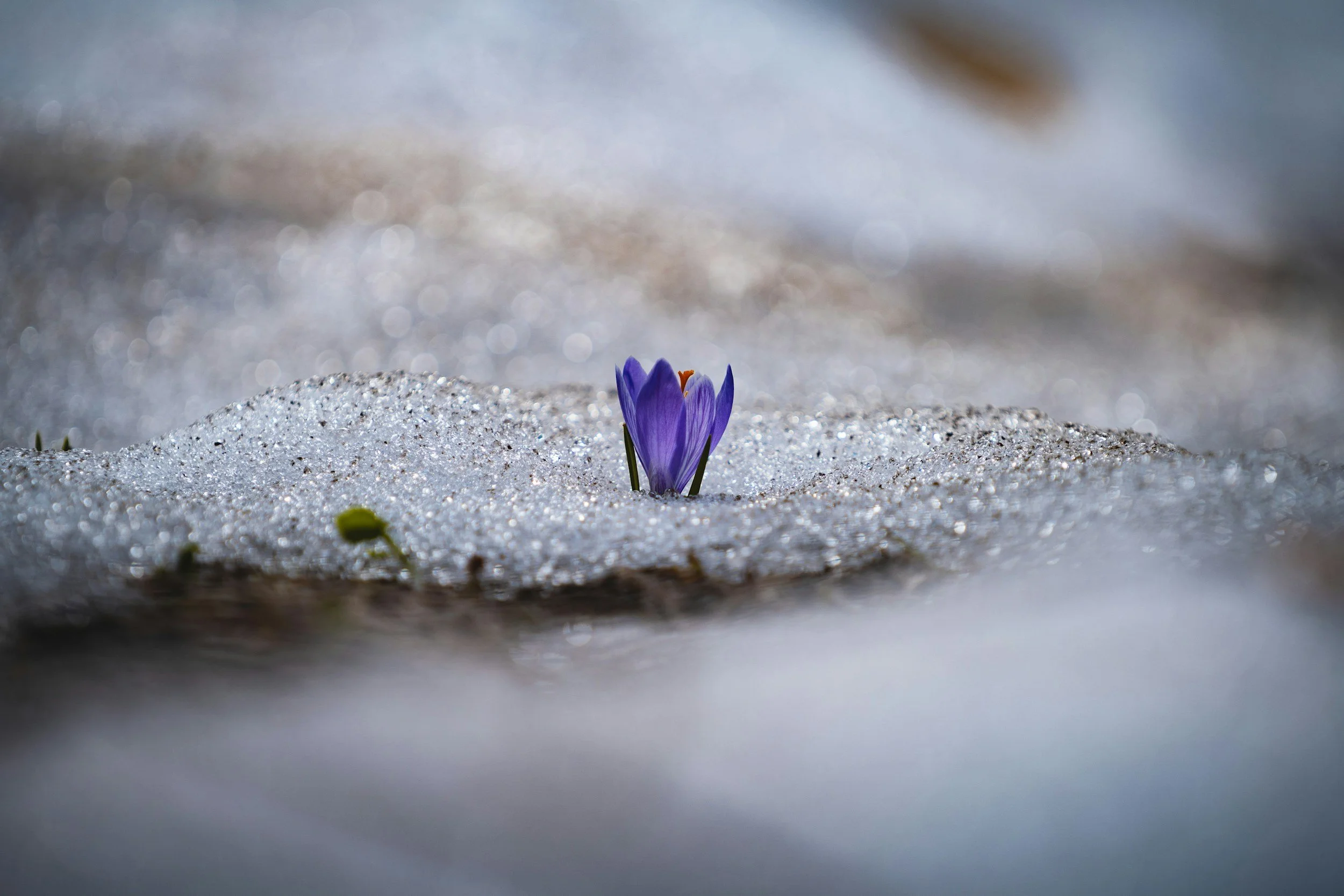 The Immense Power of Gentle Redirection