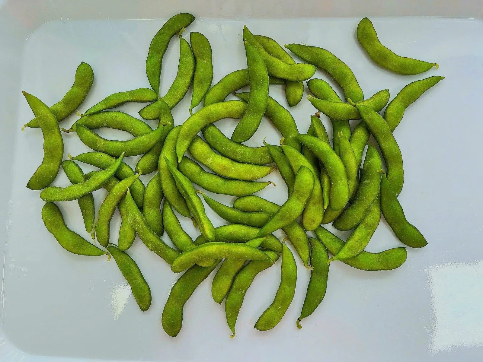 Edamame 