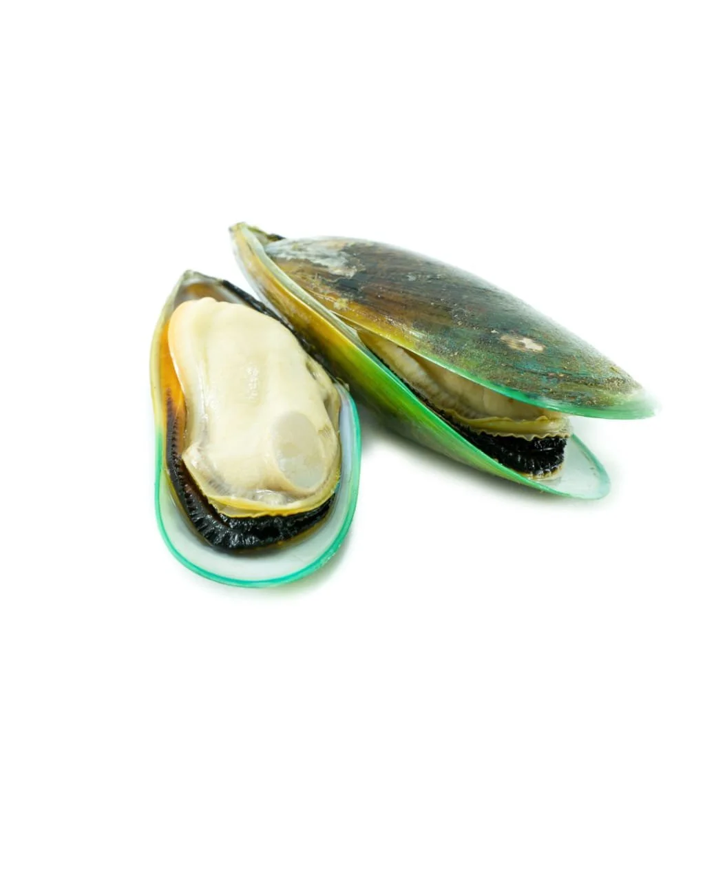 Clams 