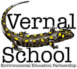 Vernal School