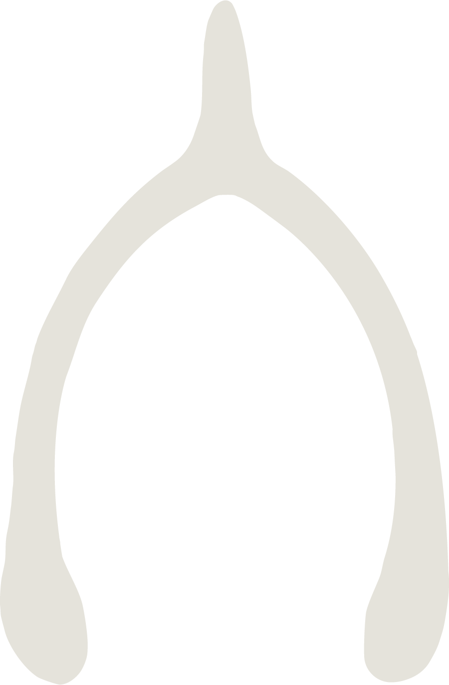 A white and gray illustration of a hammerhead shark's head seen from above.