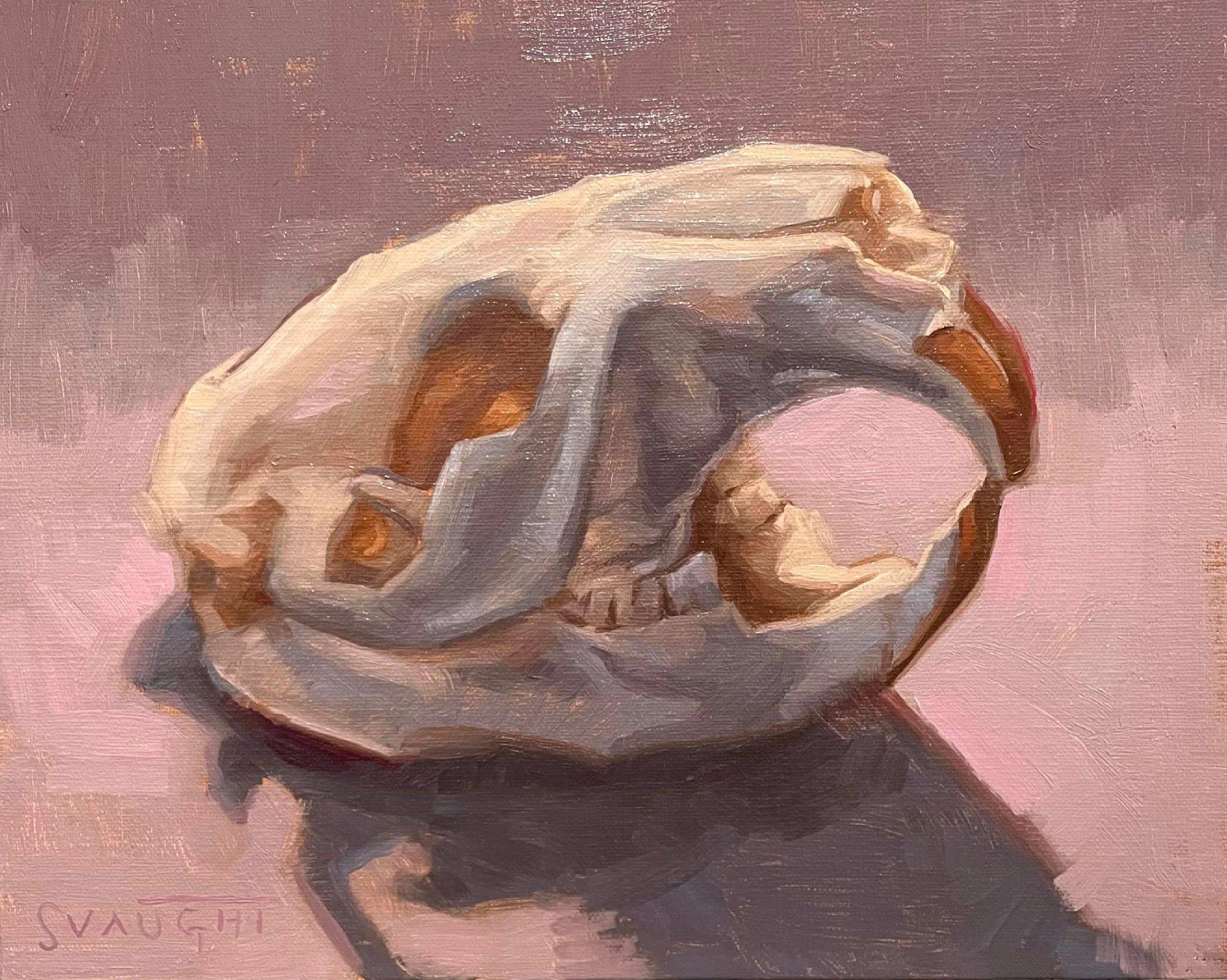 3D339F0A-98DD-4950-ABDE-2D72DFC05DA5 (1).JPG