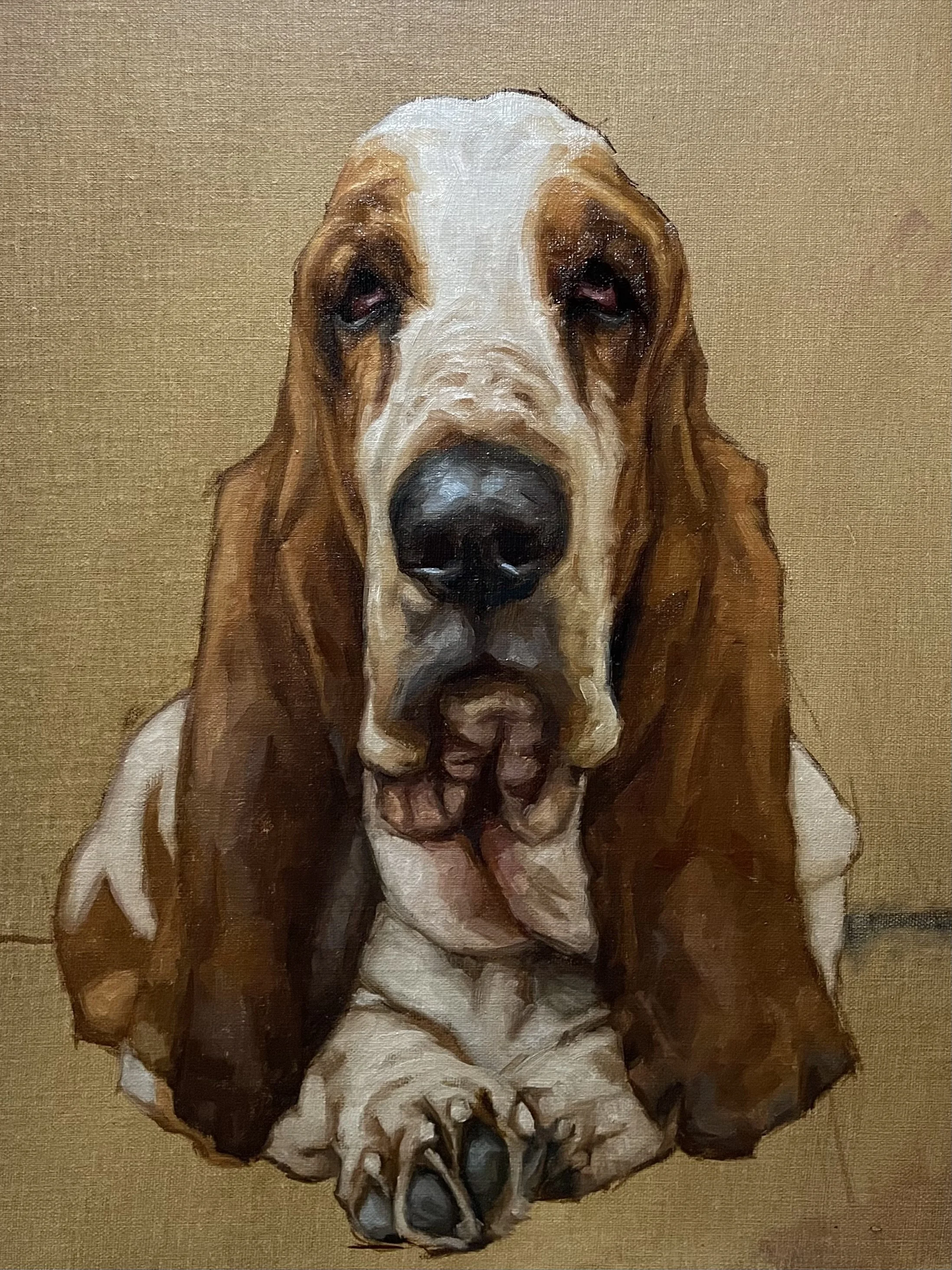 PET PORTRAIT WORKSHOP