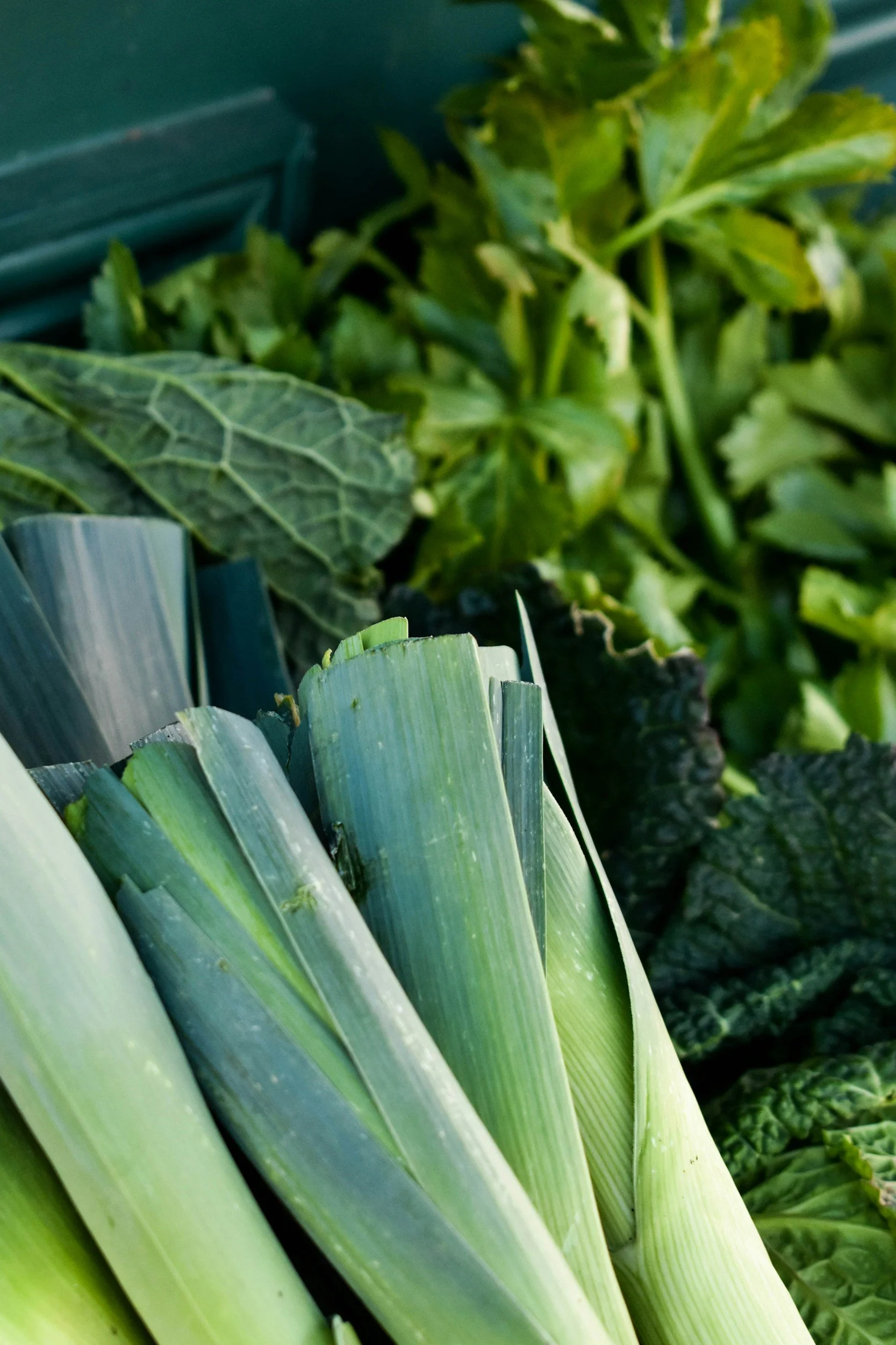 Gut health and your skin