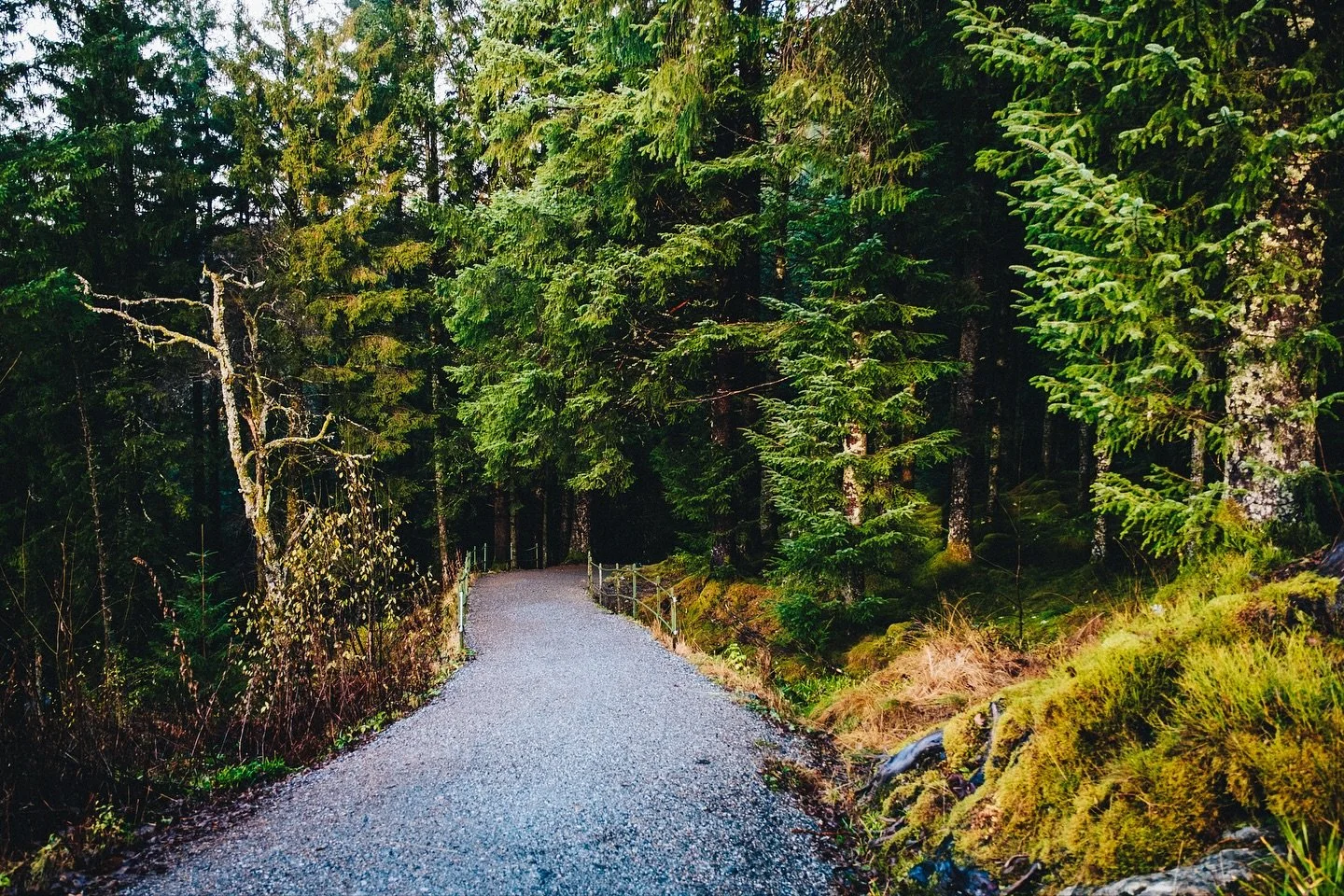 Last weeks sunday stroll down from #mountfl&oslash;yen back to #bergen #norge #lazyday #autumn