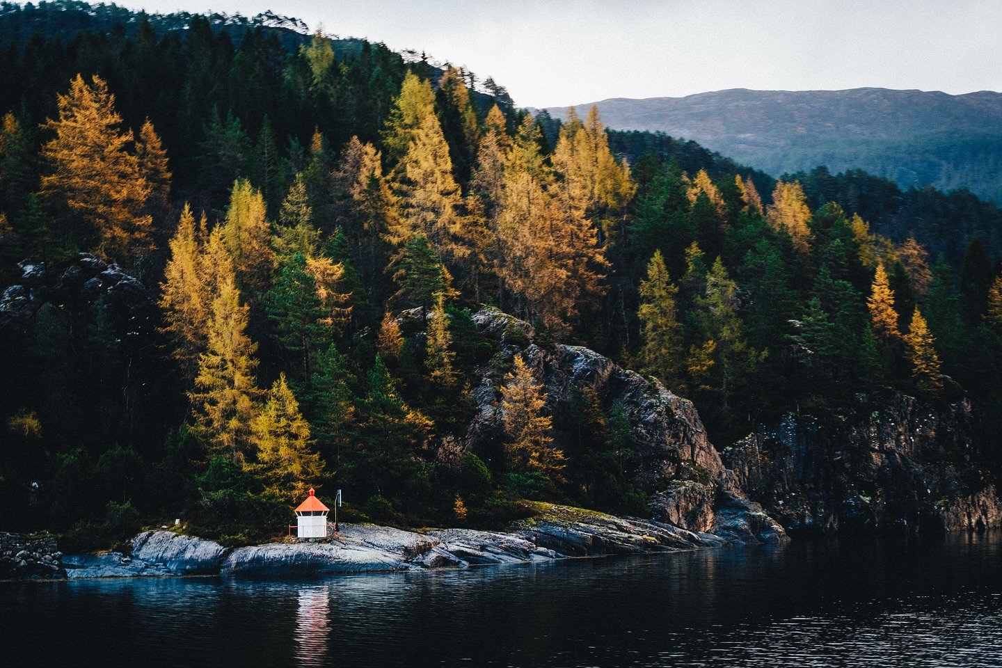 #autumn colours hanging on last week on the #bergen to #mostraumenfjord #cruise #norge #lazysunday
