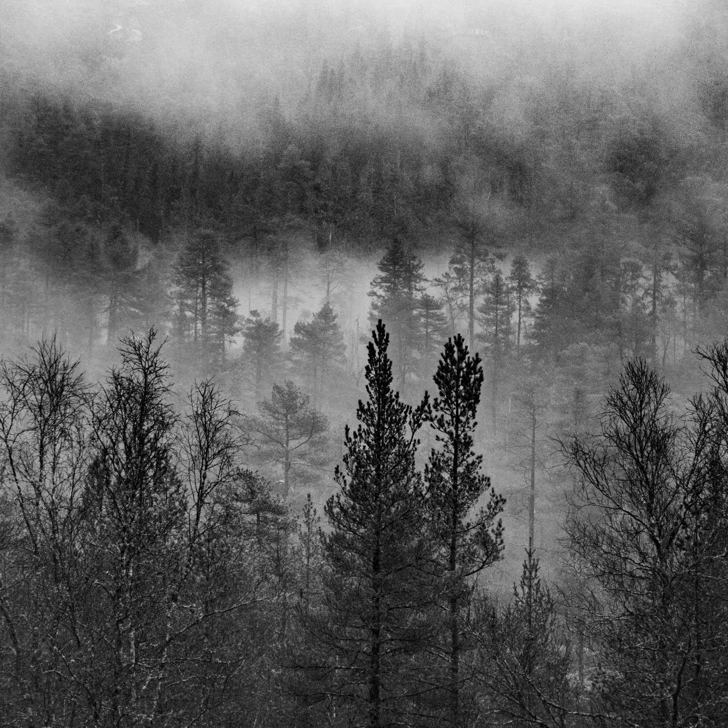 Wishing I was back wandering around the high plateau of #finse #hardangerj&oslash;kulen #norge