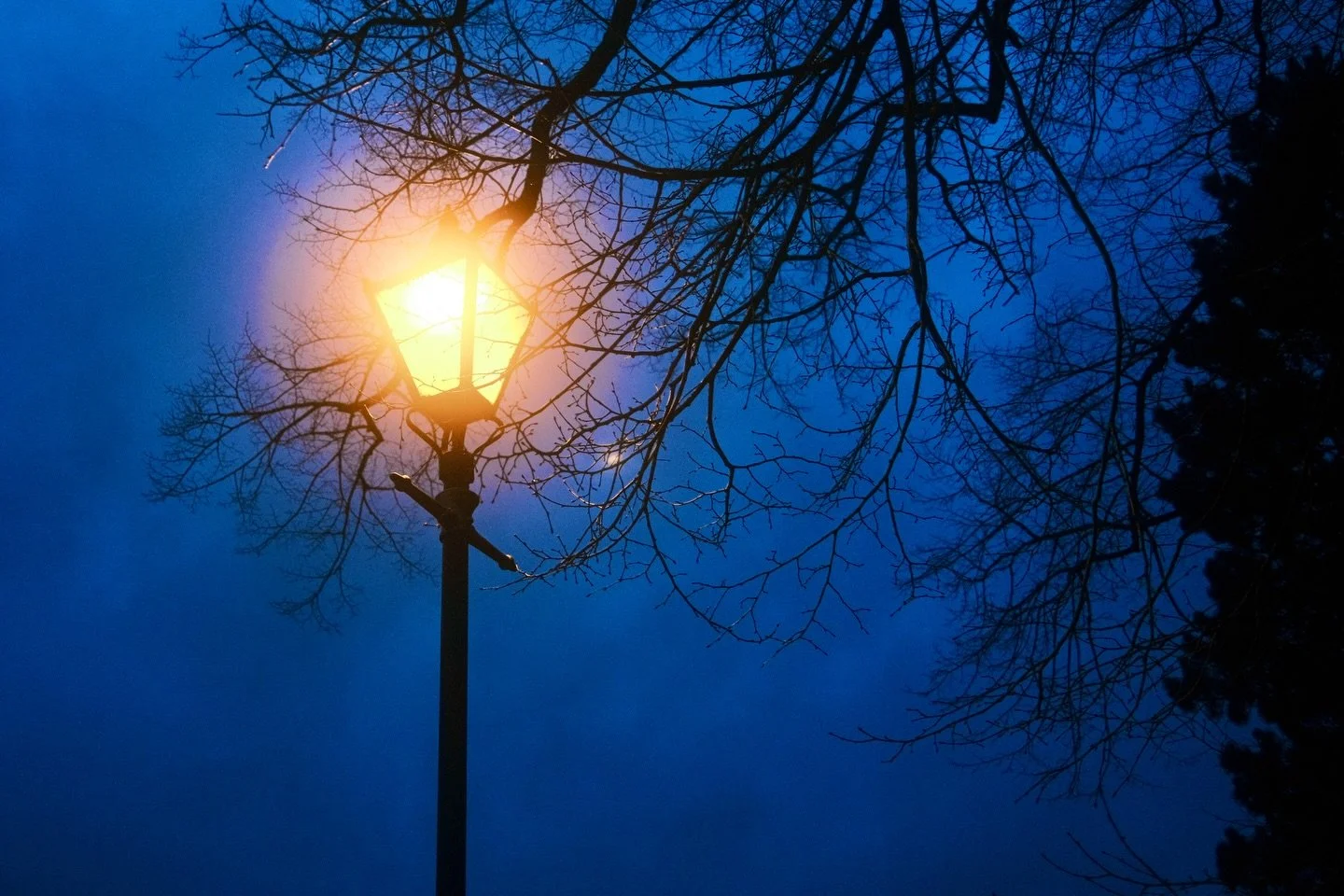 Halo on the street light. #exeter #fujix100v #fujixlovers