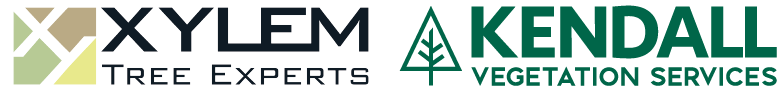 XylemKendallDualLogosidebyside.png