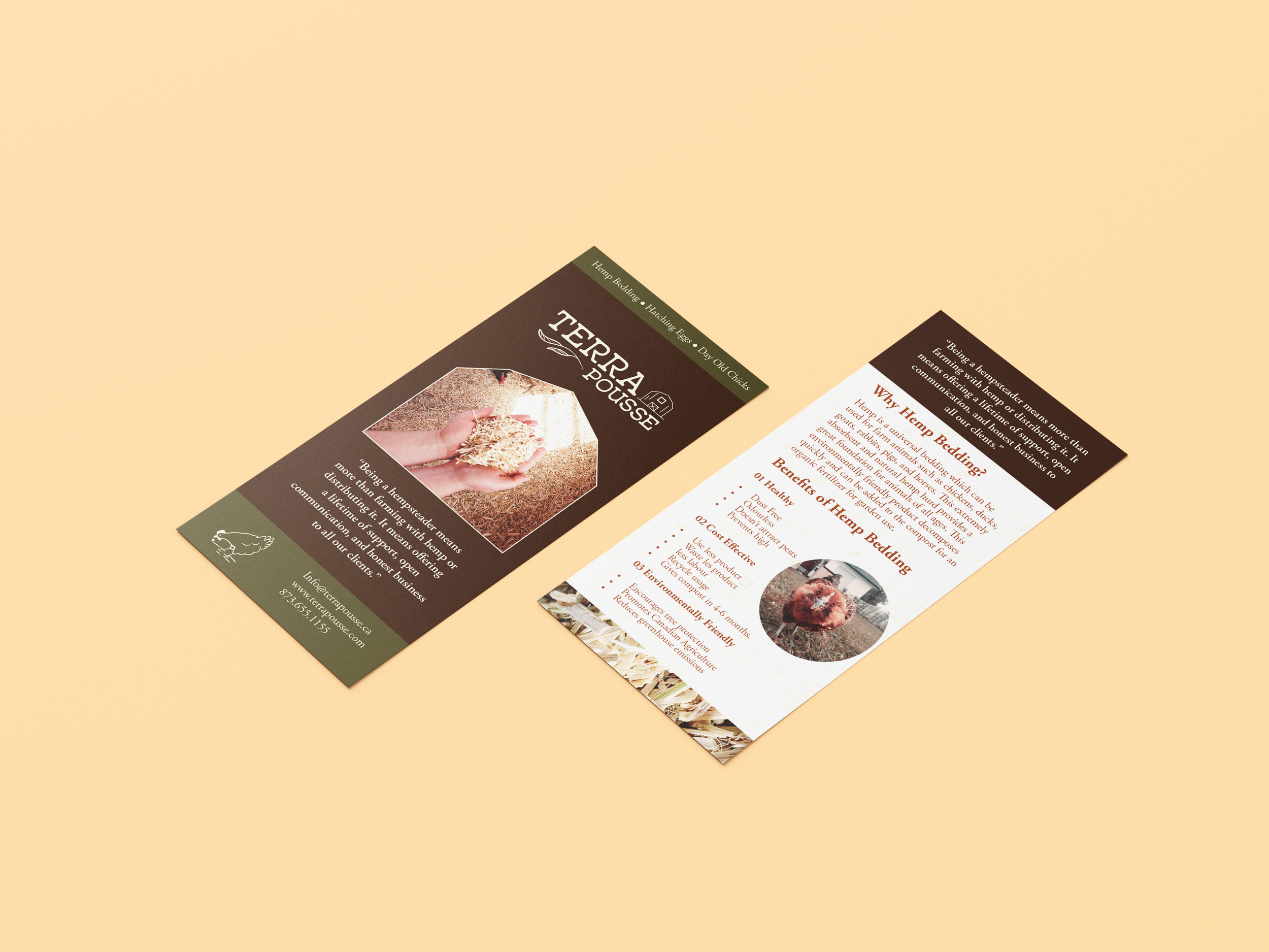 Brochure and flyer for Terra Pousse, promoting hemp bedding products with images of hemp seeds and bedding. The brochure emphasizes benefits like health, eco-friendliness, and cost-effectiveness.