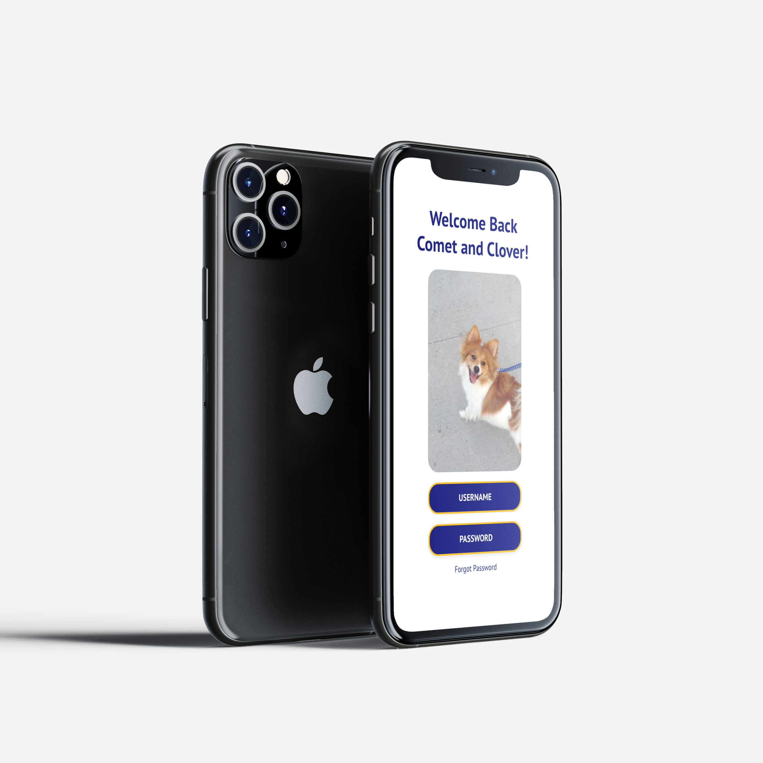 Black iPhone with a triple camera system displaying a welcome screen with a photo of a small dog and login fields.