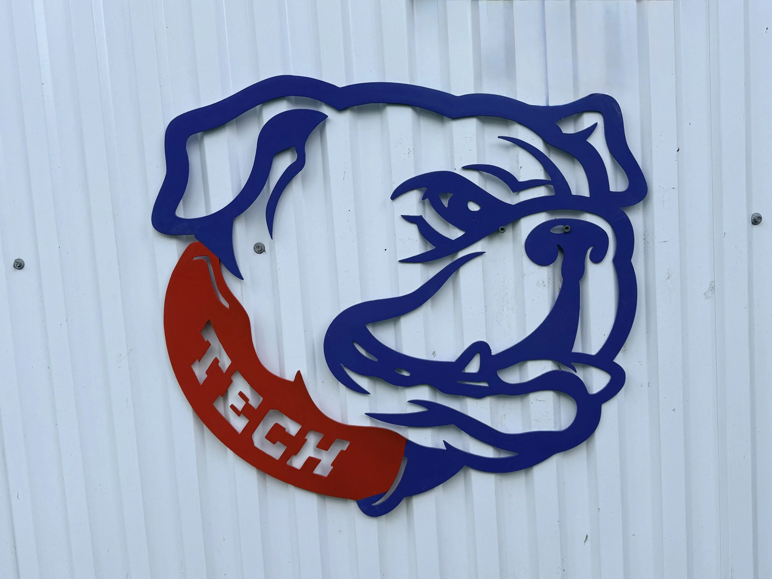 Tech Color.jpeg
