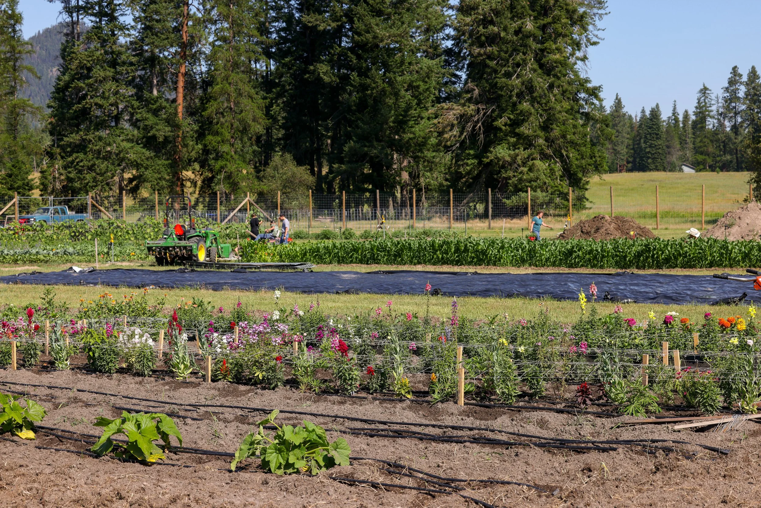 Lifeline Gardens-17.jpg