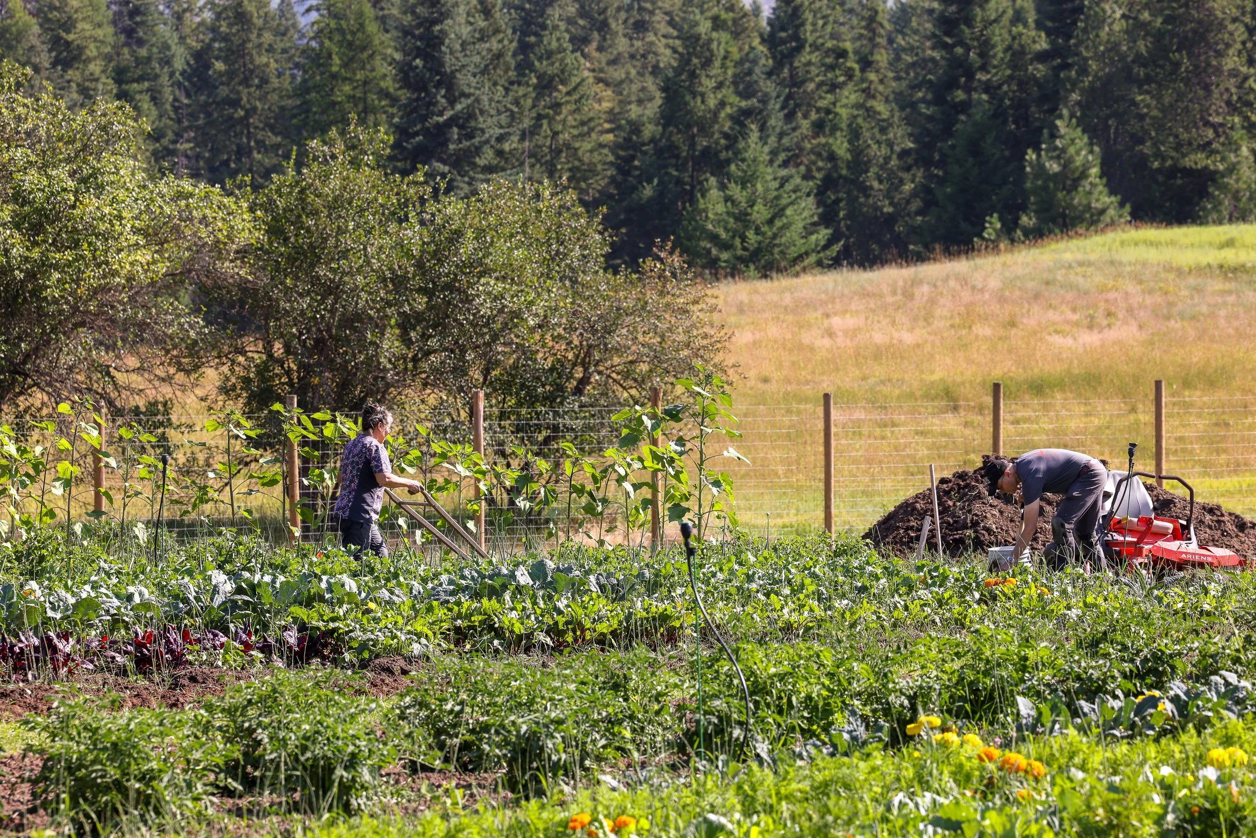 Lifeline Gardens-9.jpg