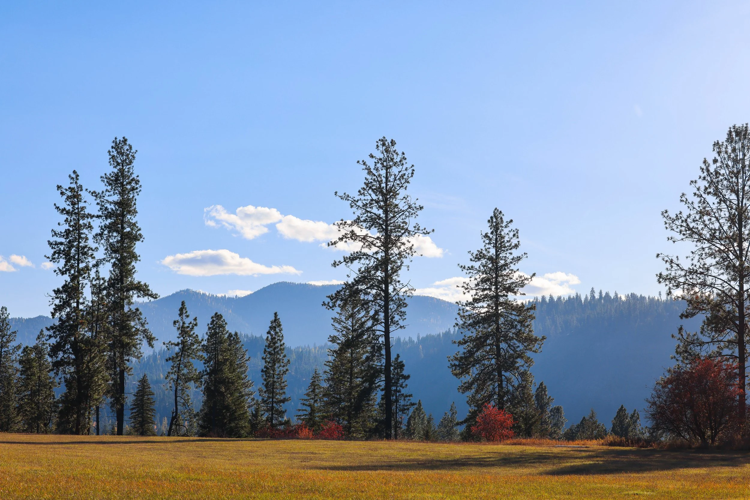 121 Harlow Rd-24.jpg