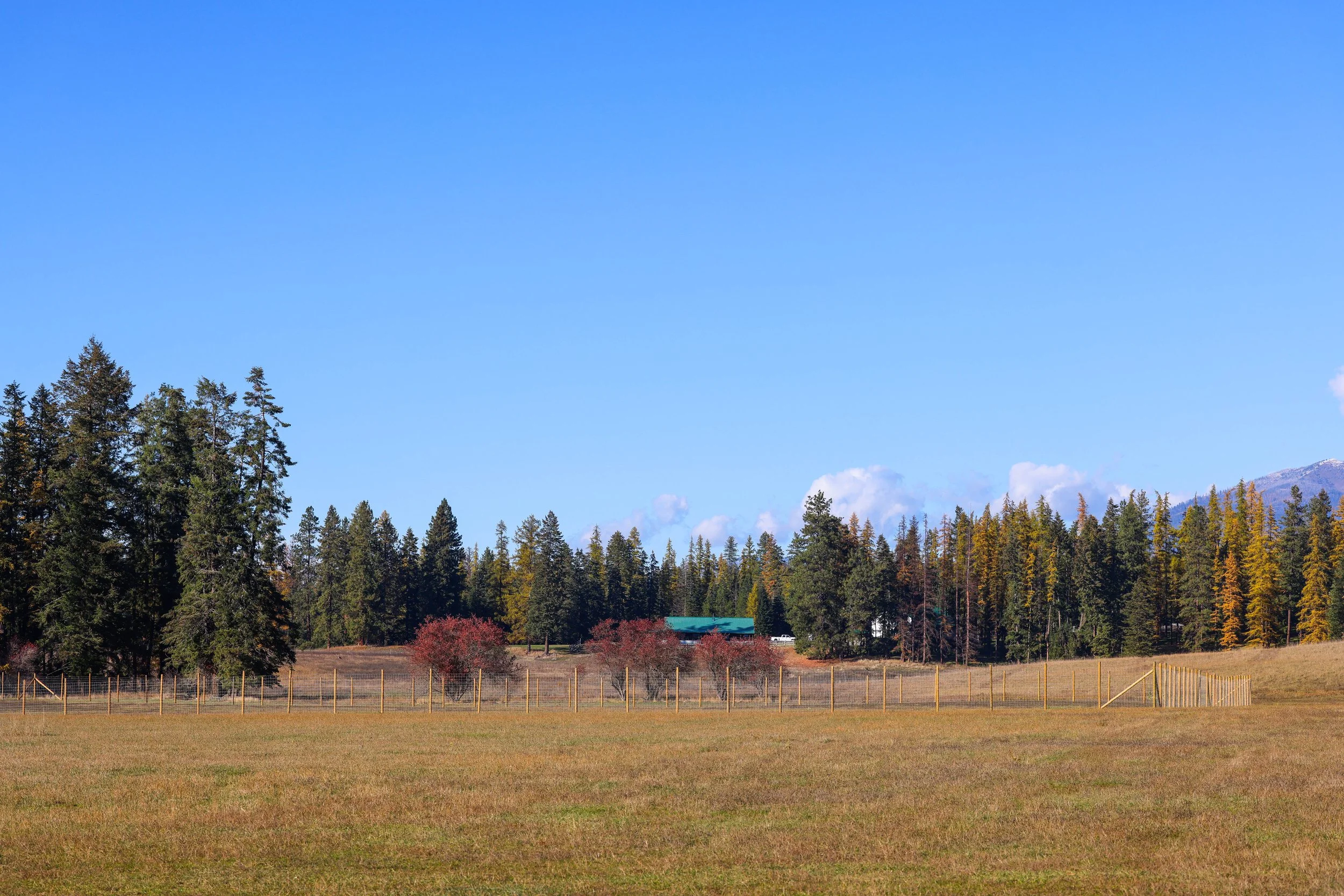 121 Harlow Rd-13.jpg