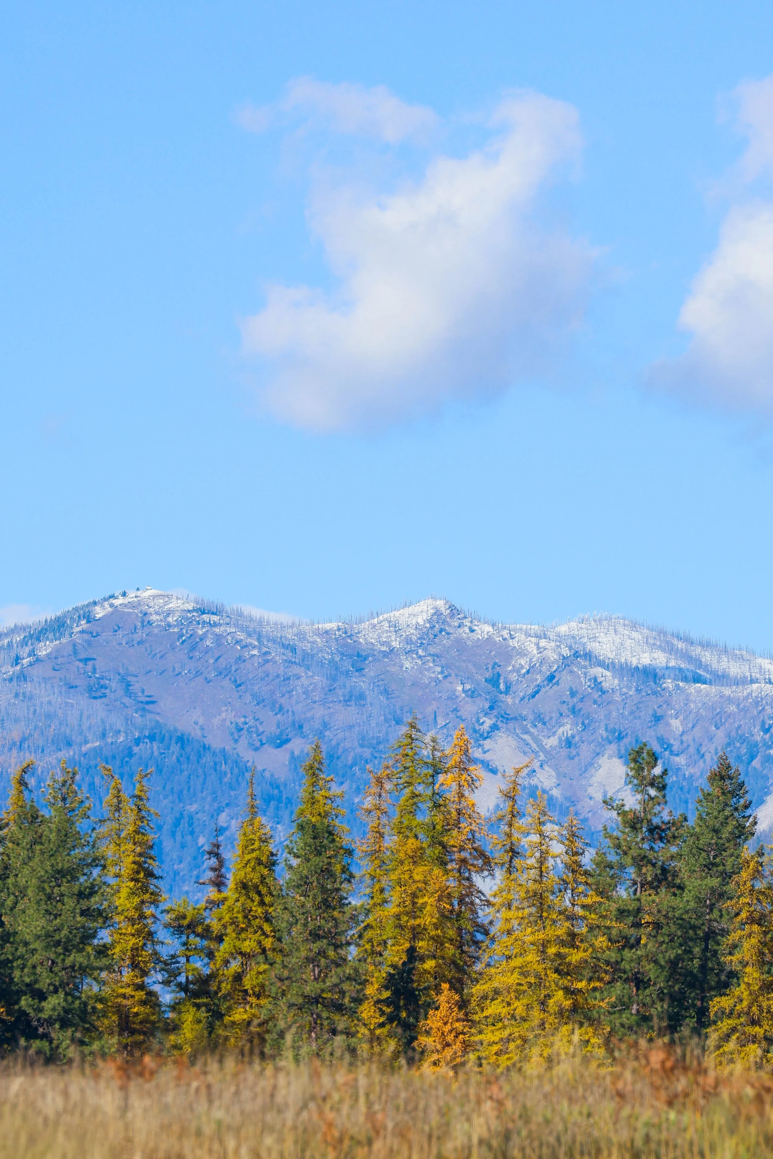 121 Harlow Rd-10.jpg