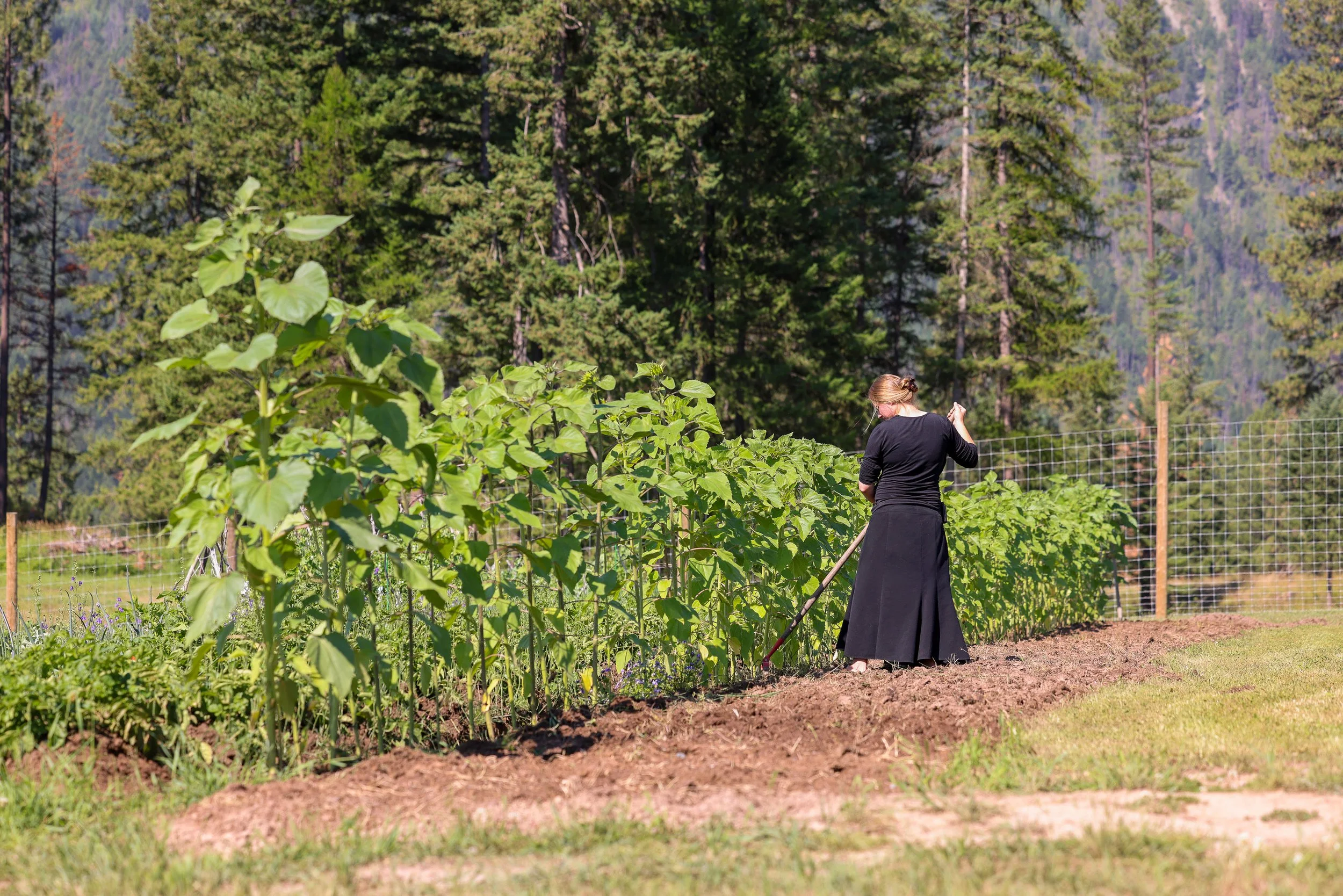 Lifeline Gardens-19.jpg