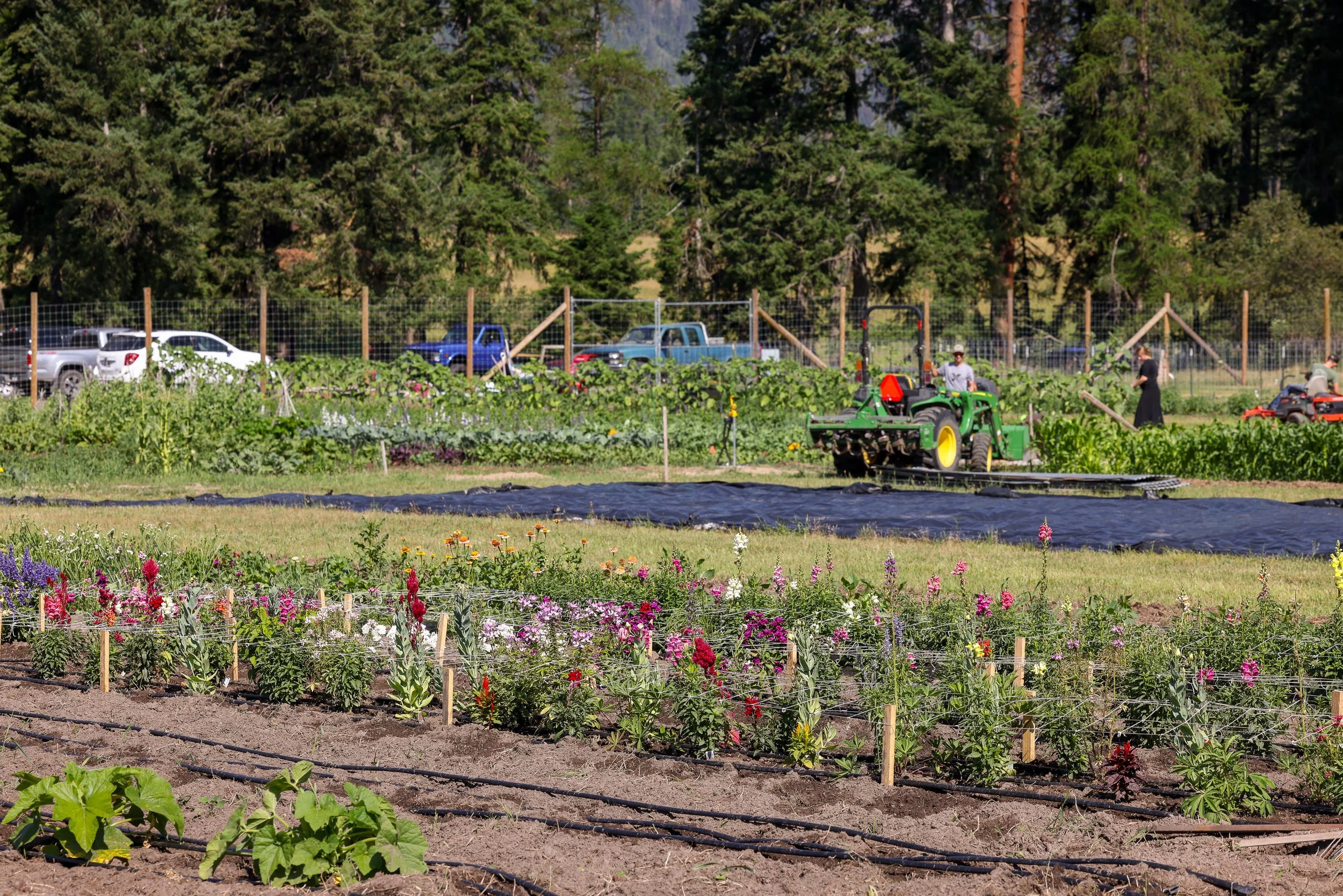 Lifeline Gardens-18.jpg