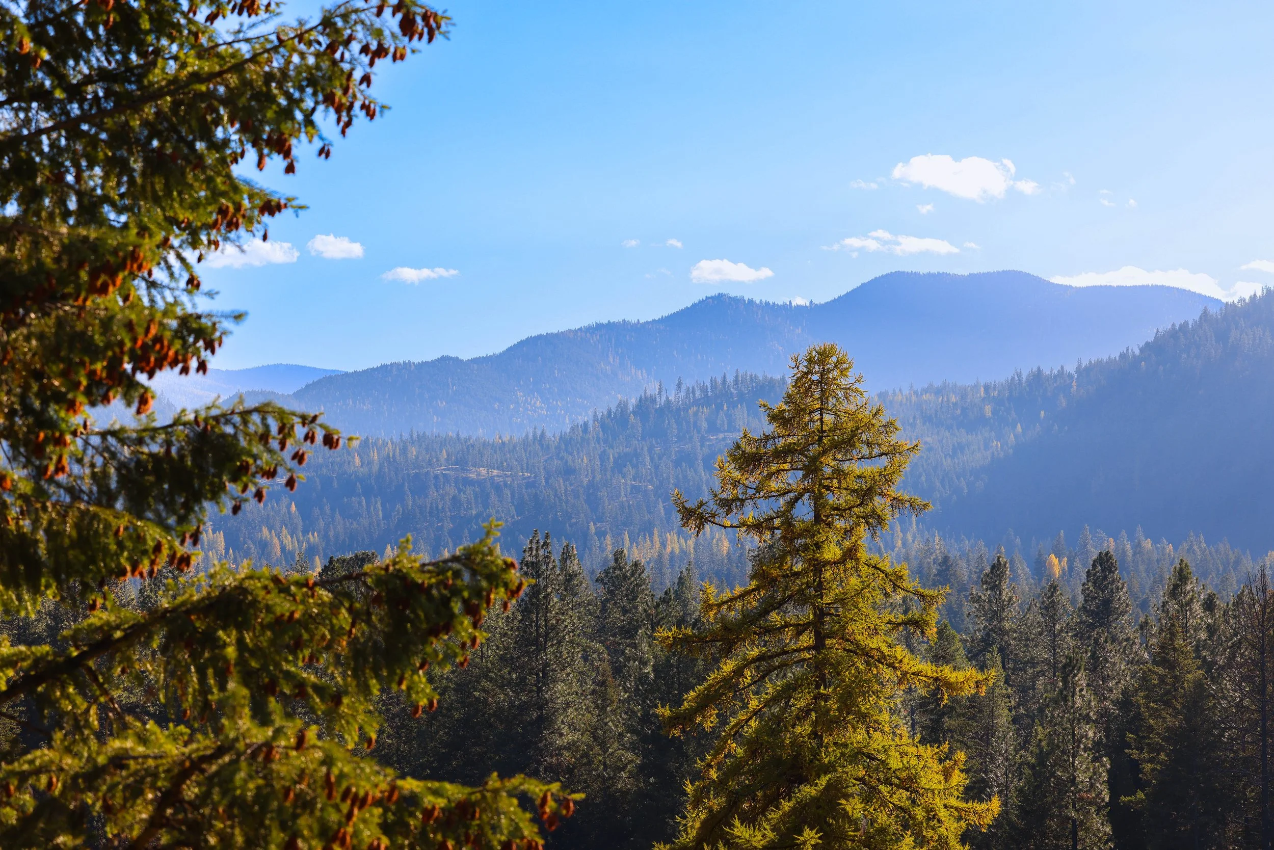 121 Harlow Rd-18.jpg