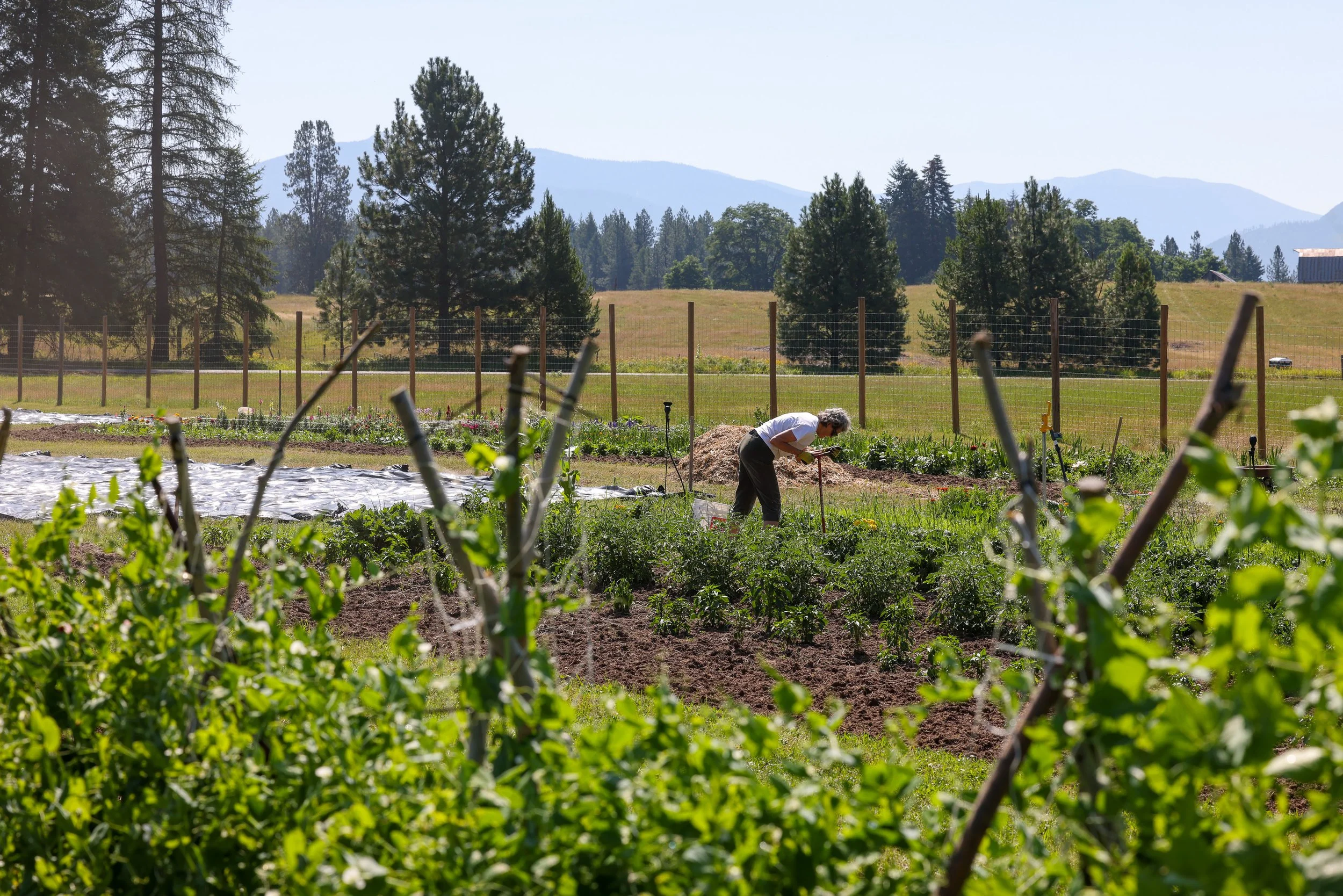 Lifeline Gardens-28.jpg