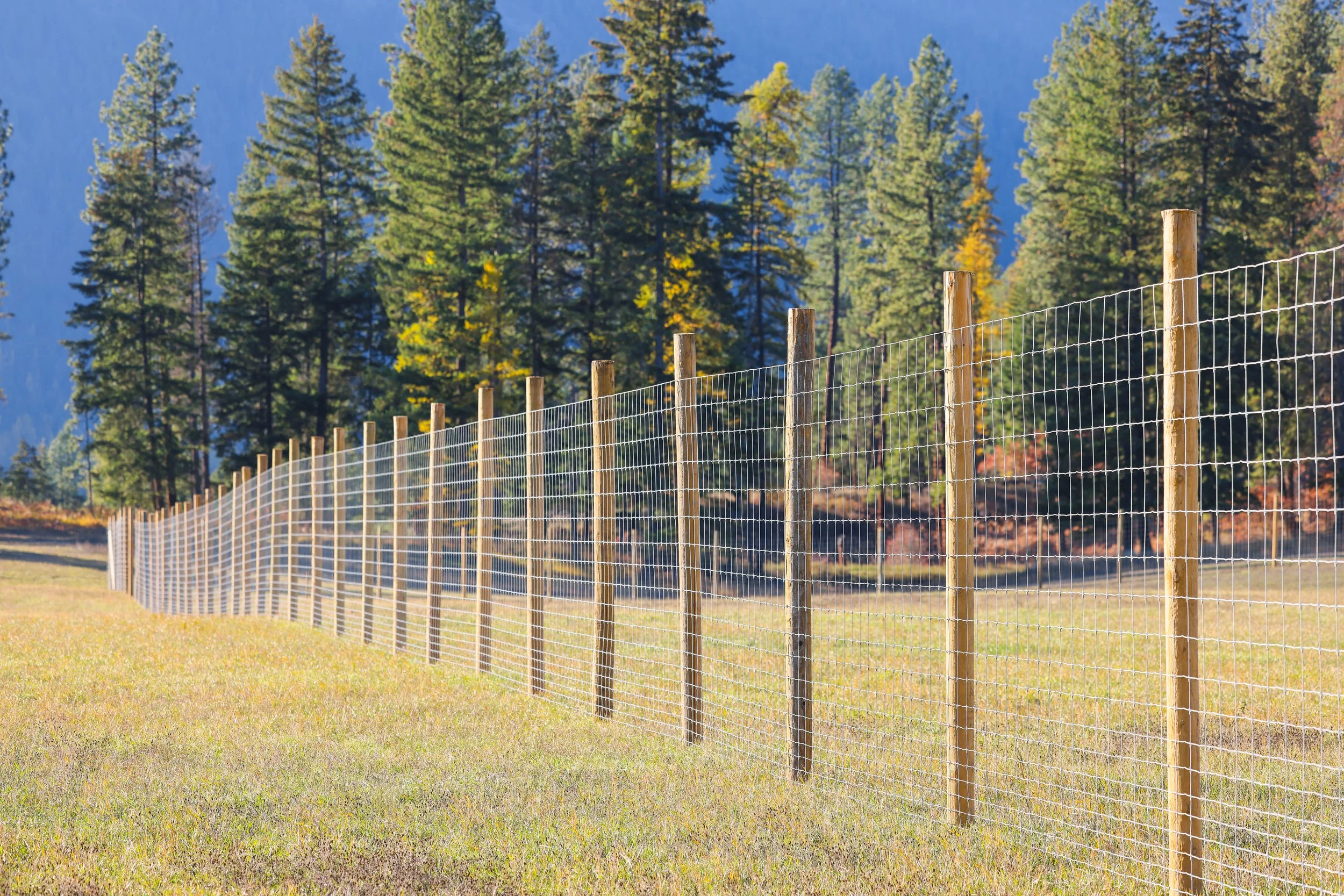 121 Harlow Rd-26.jpg