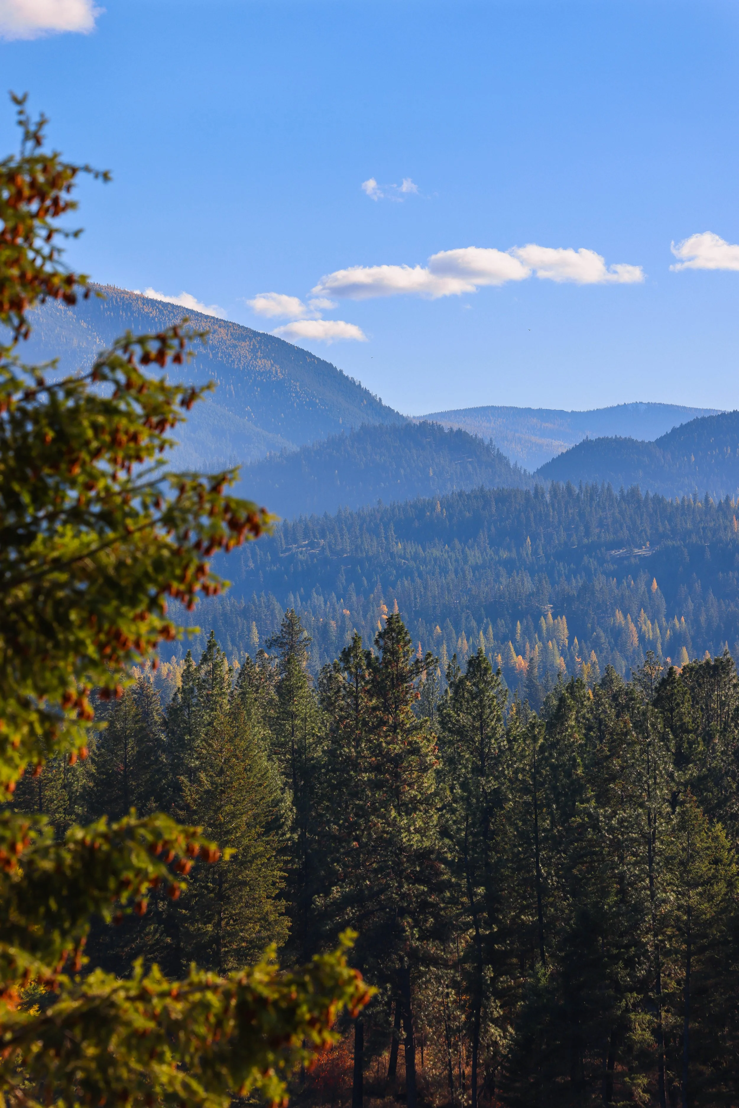 121 Harlow Rd-21.jpg