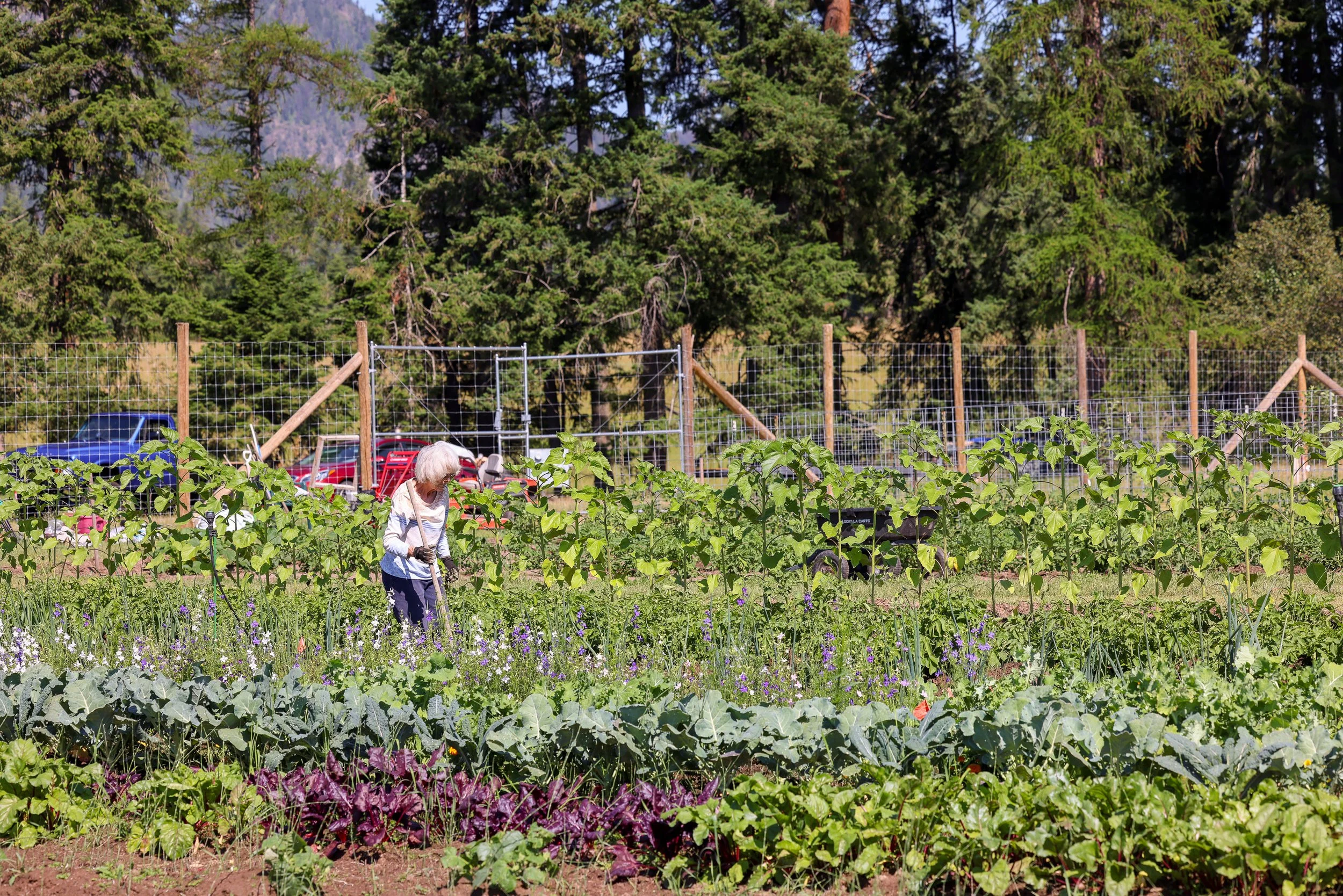 Lifeline Gardens-25.jpg