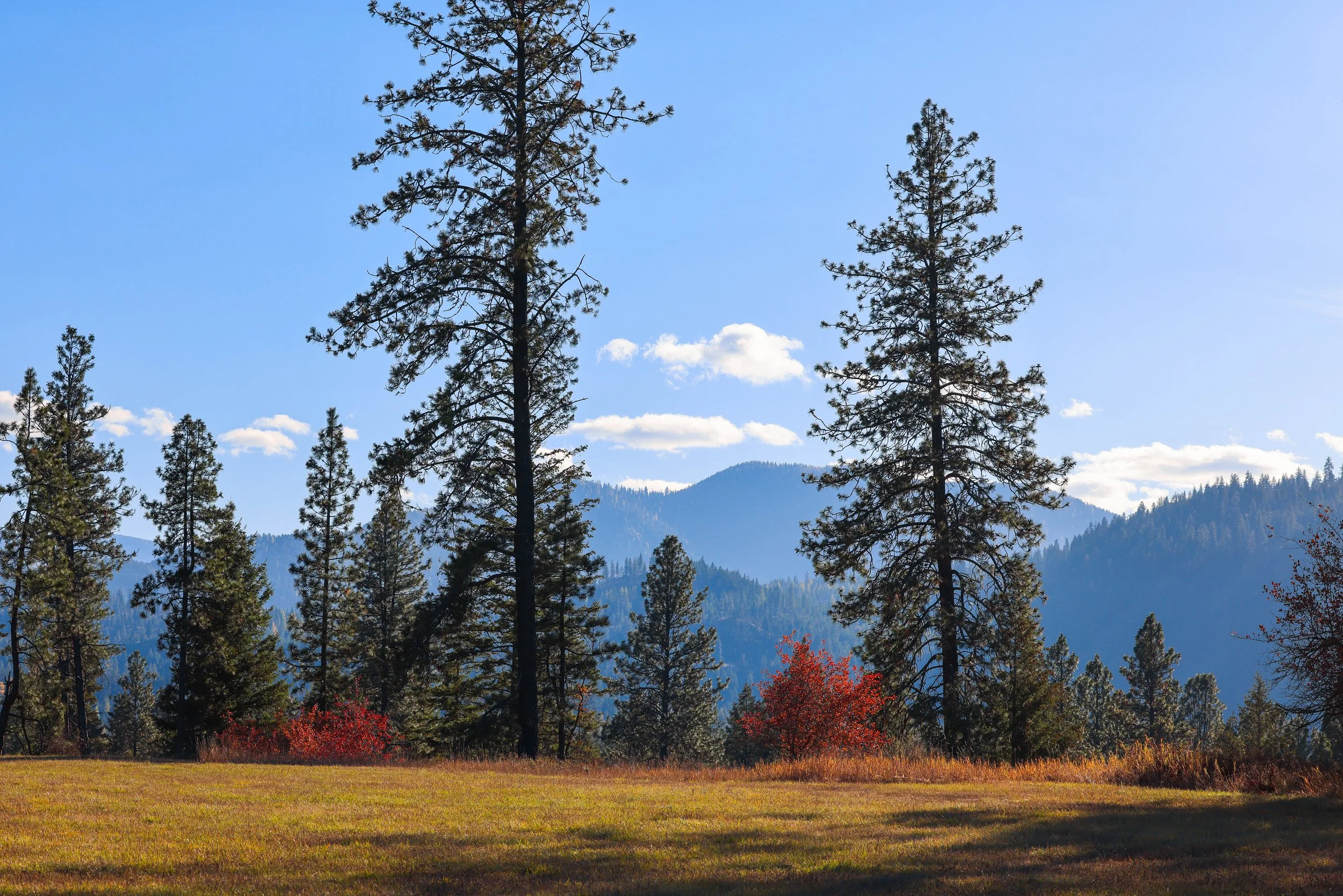 121 Harlow Rd-23.jpg