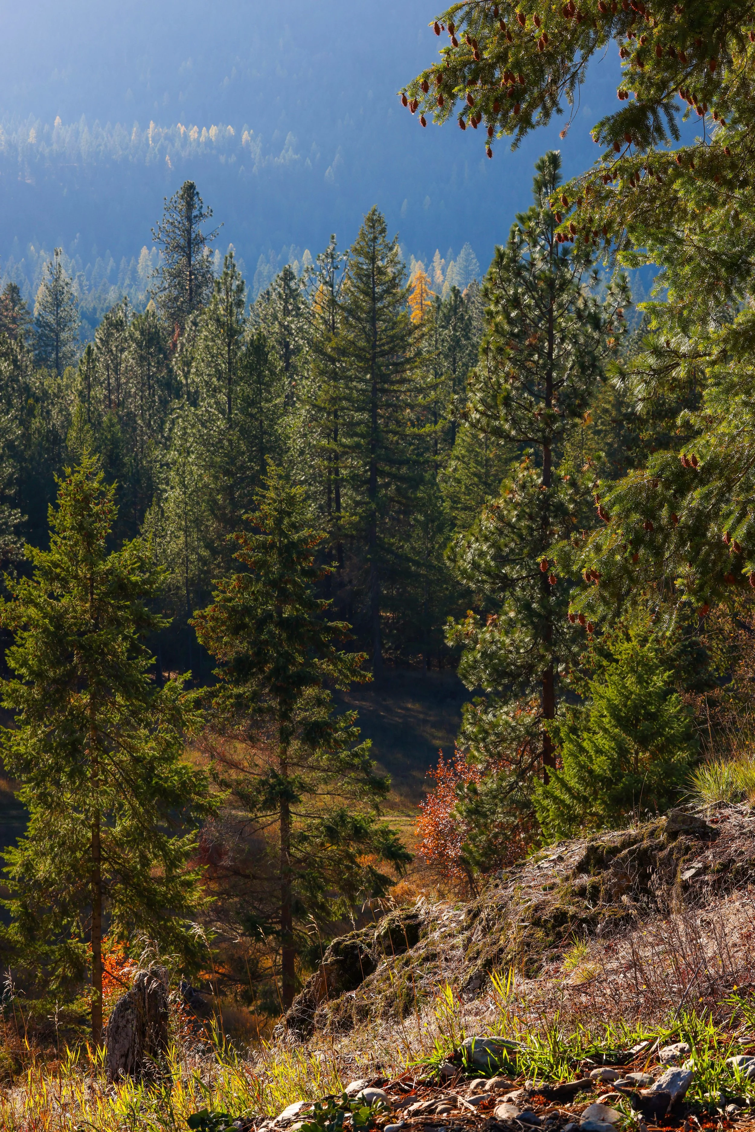 121 Harlow Rd-17.jpg